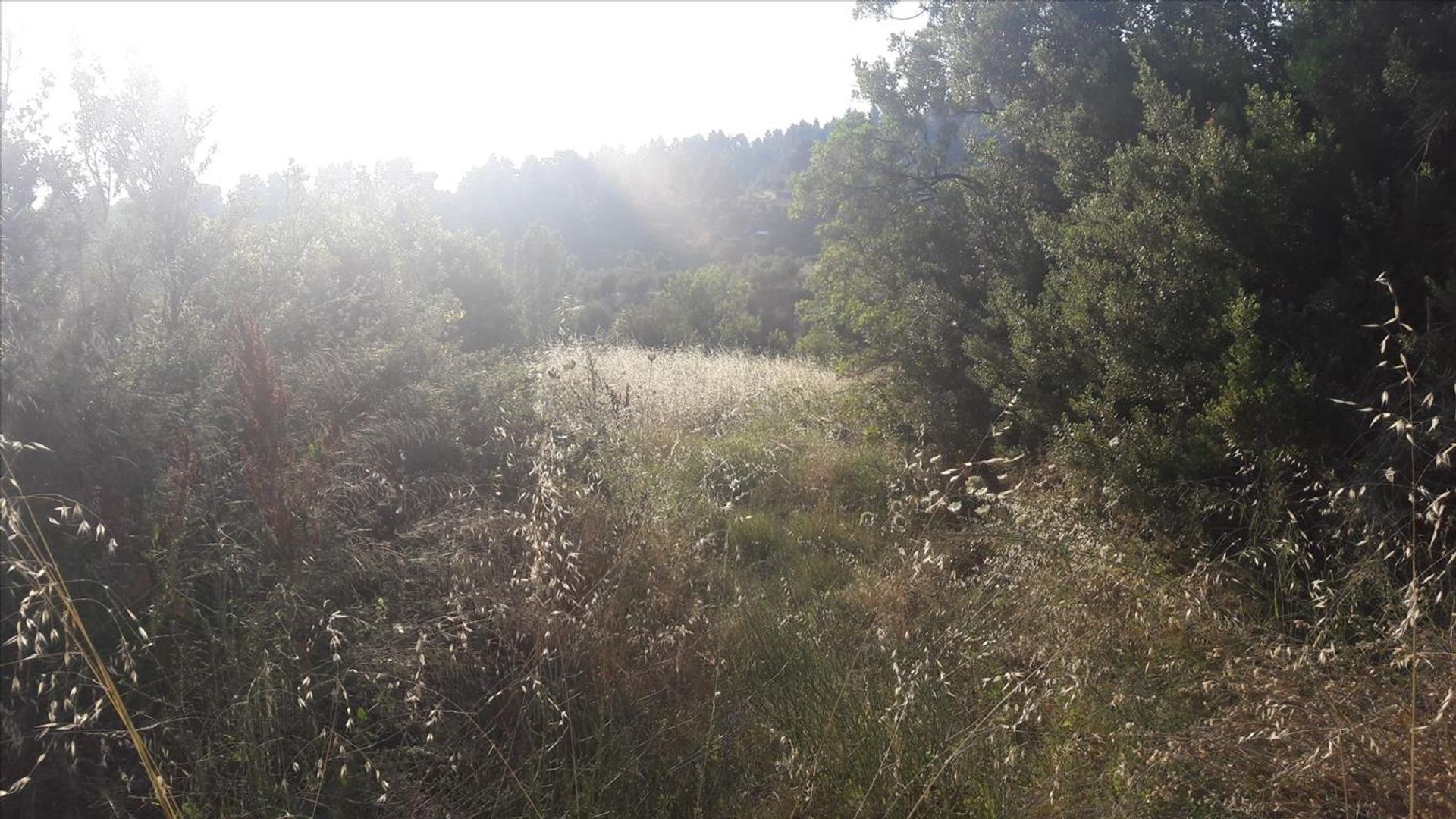 Terre dans Néos Marmaras, Kentriki Macédoine 10804143