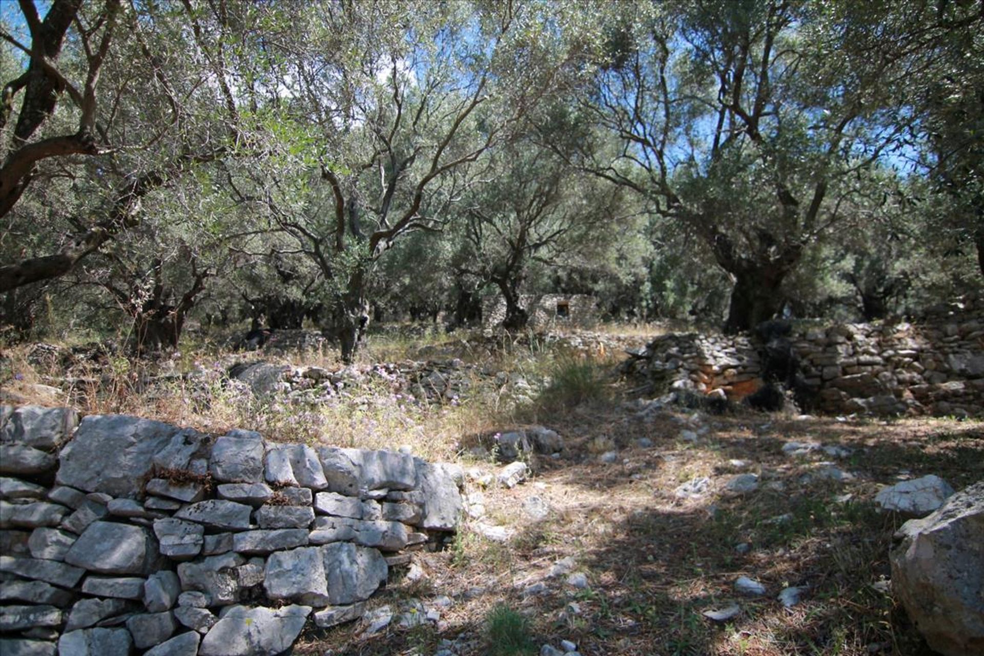 Land i Kassiopi, Ionia Nisia 10804148