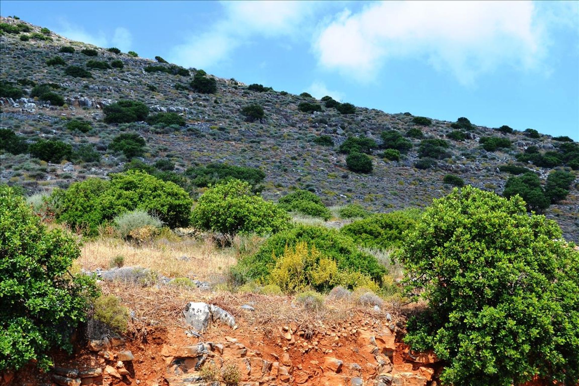 Tierra en Ellinika, criti 10804193