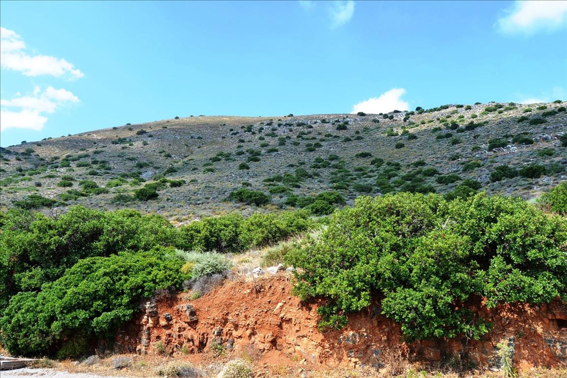 Tierra en Ellinika, criti 10804193