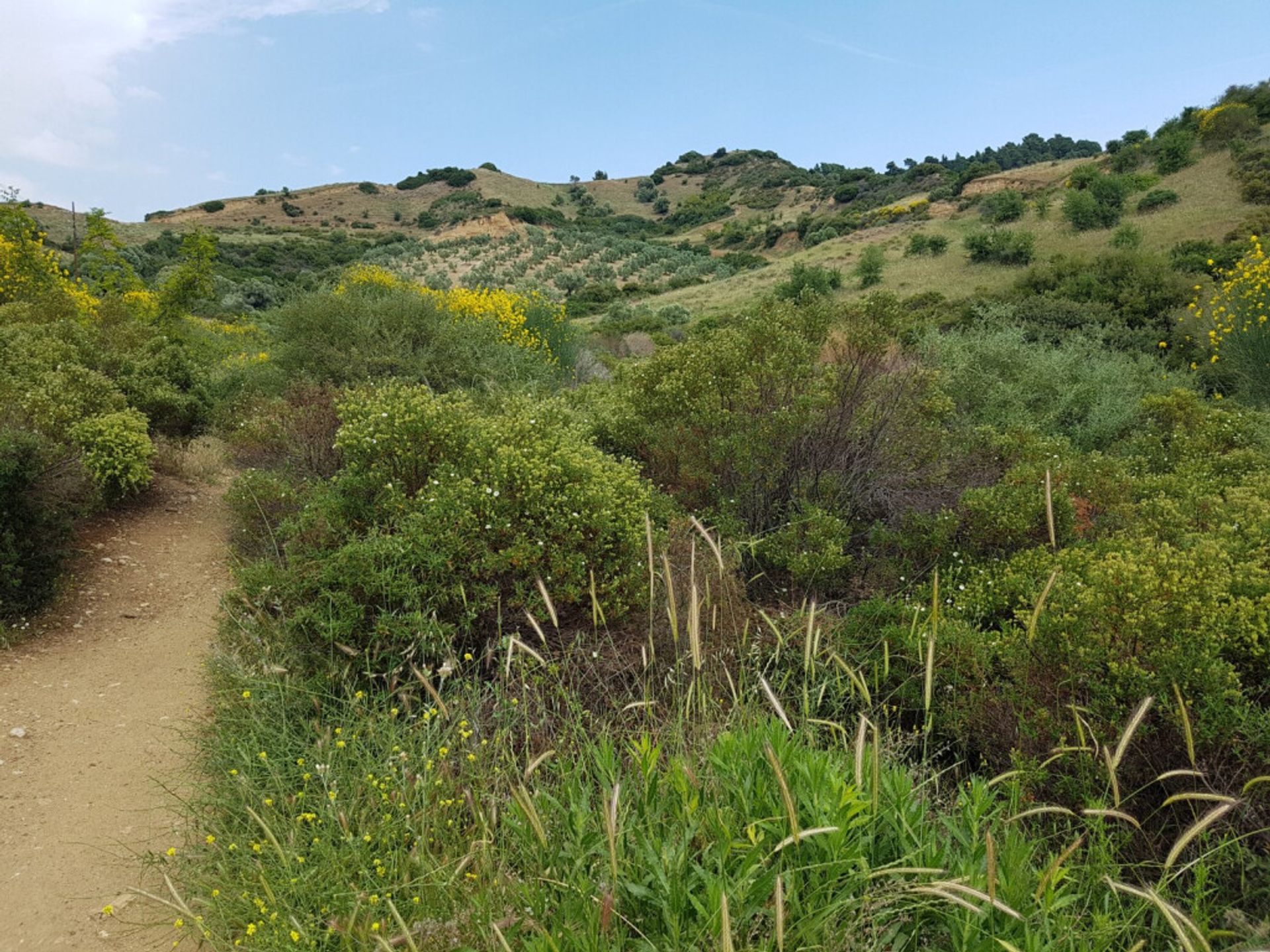 Tierra en Νικήτη,  10804292