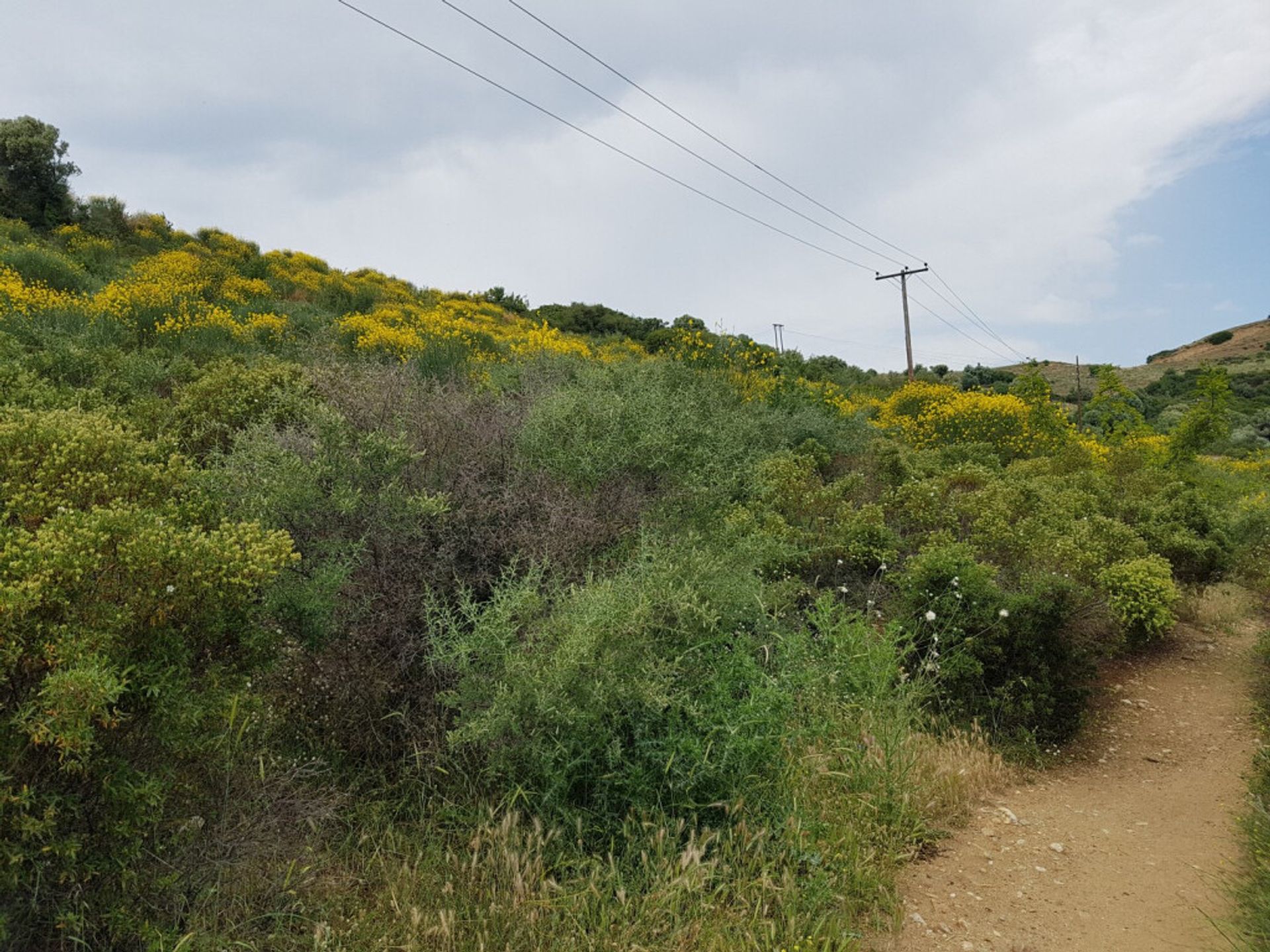 Земля в Νικήτη,  10804292