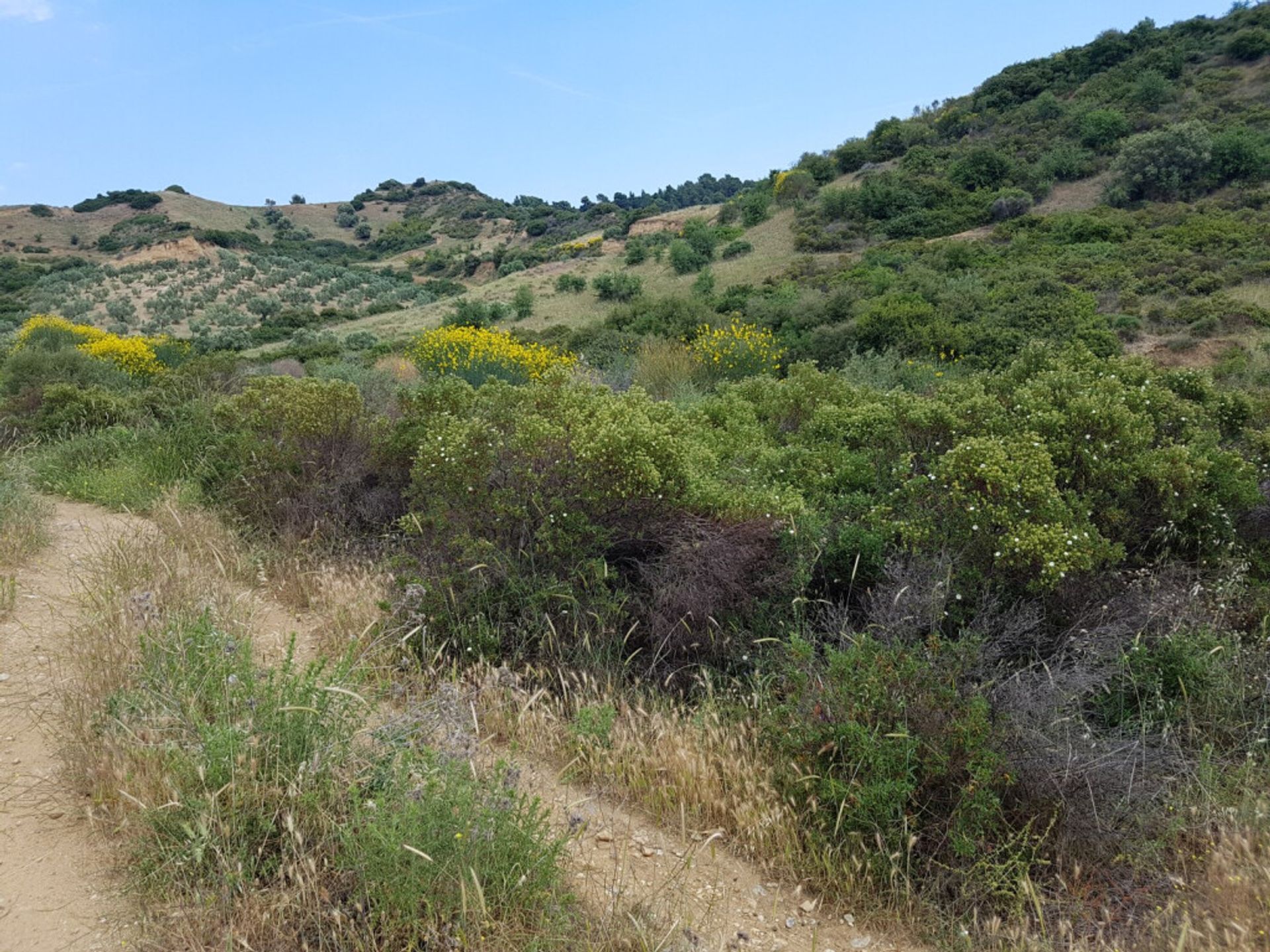 Земля в Νικήτη,  10804292