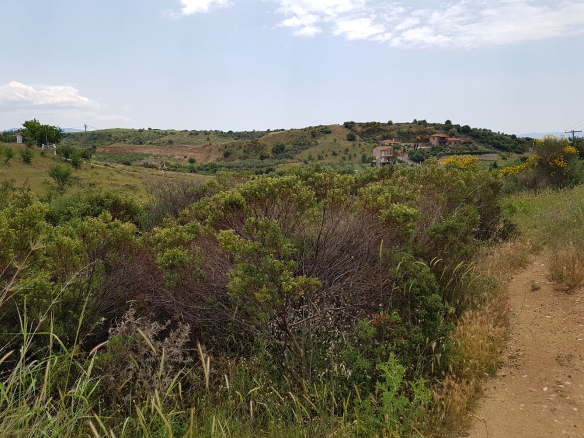 土地 在 Νικήτη,  10804292