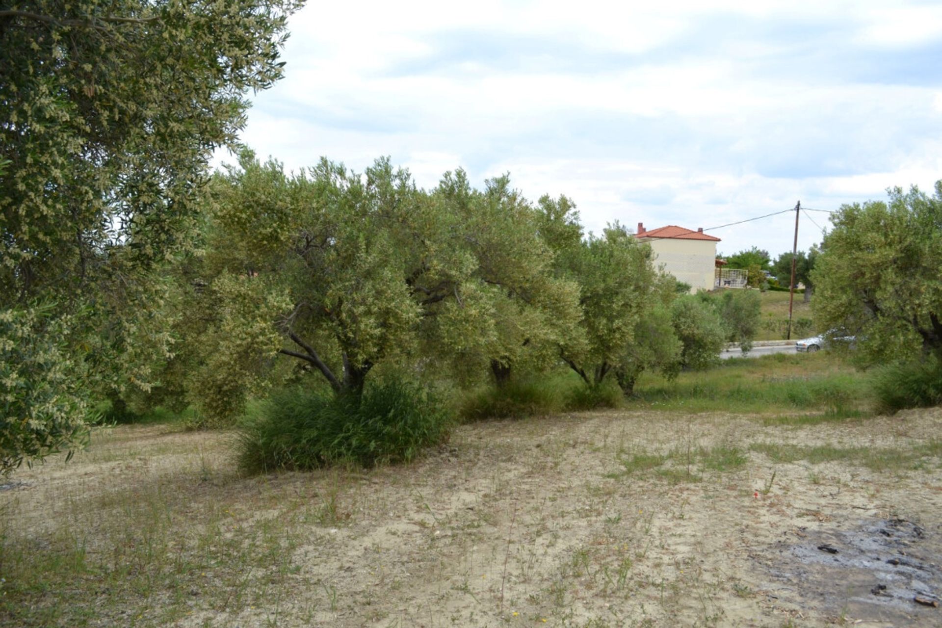 Land in Kassandreia, Kentriki Makedonia 10804297