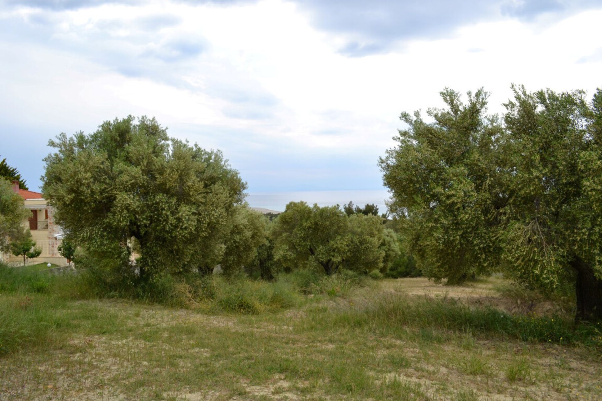 Land in Kassandreia, Kentriki Makedonia 10804297