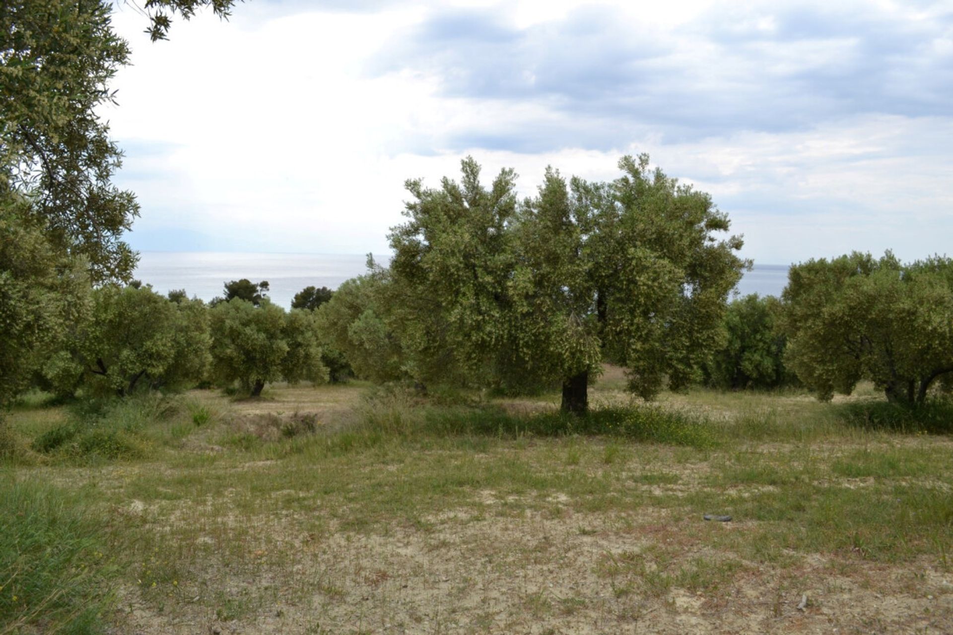 Maa sisään Kassandreia, Kentriki Makedonia 10804297