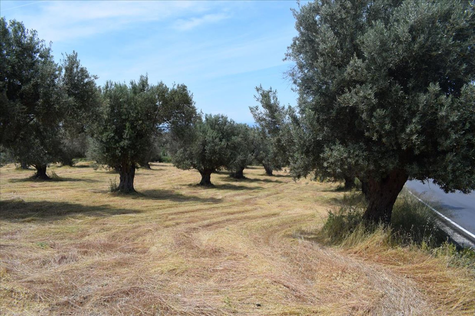 Γη σε Αστέρι, Κρήτης 10804383