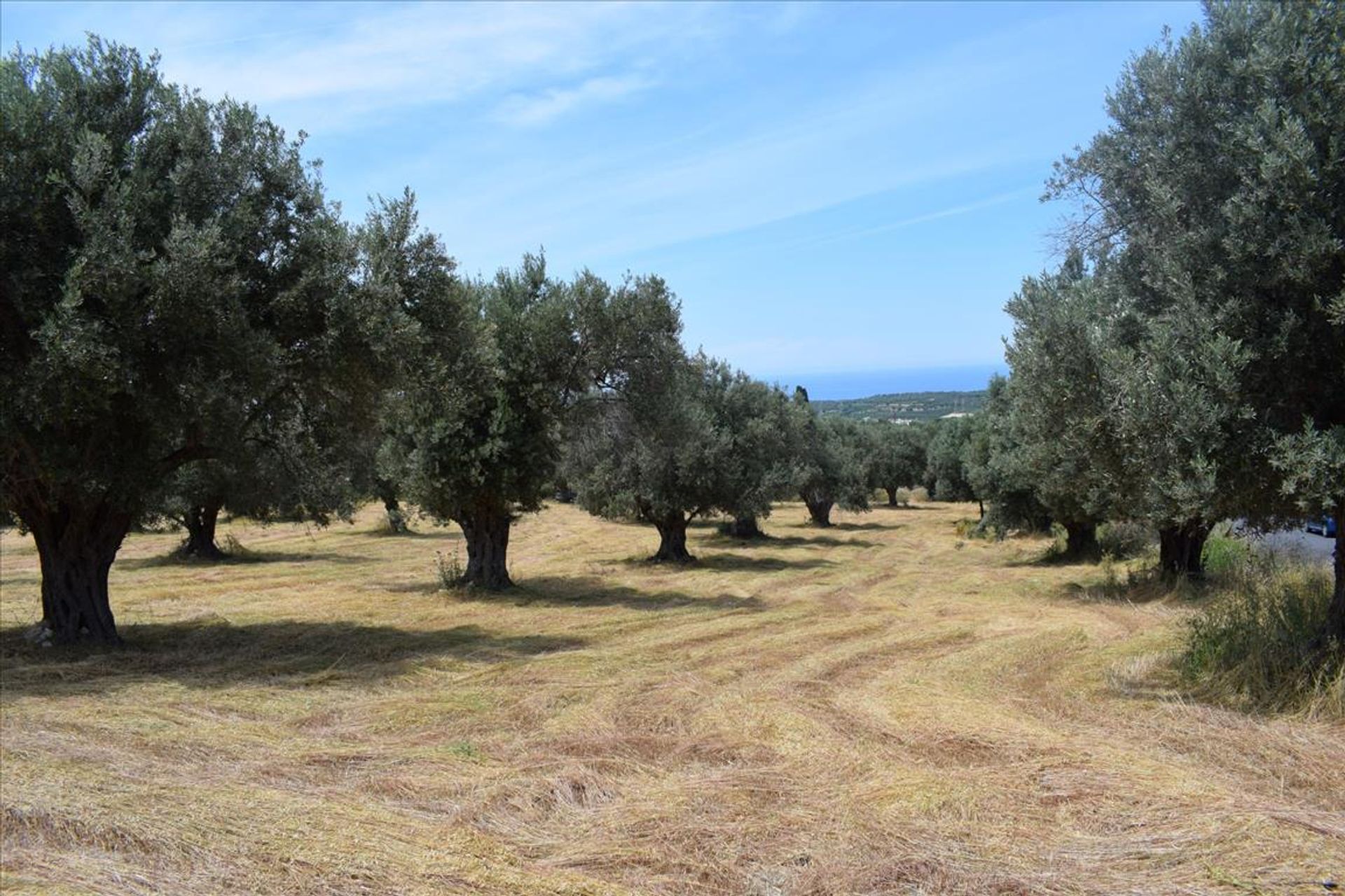 Γη σε Αστέρι, Κρήτης 10804383