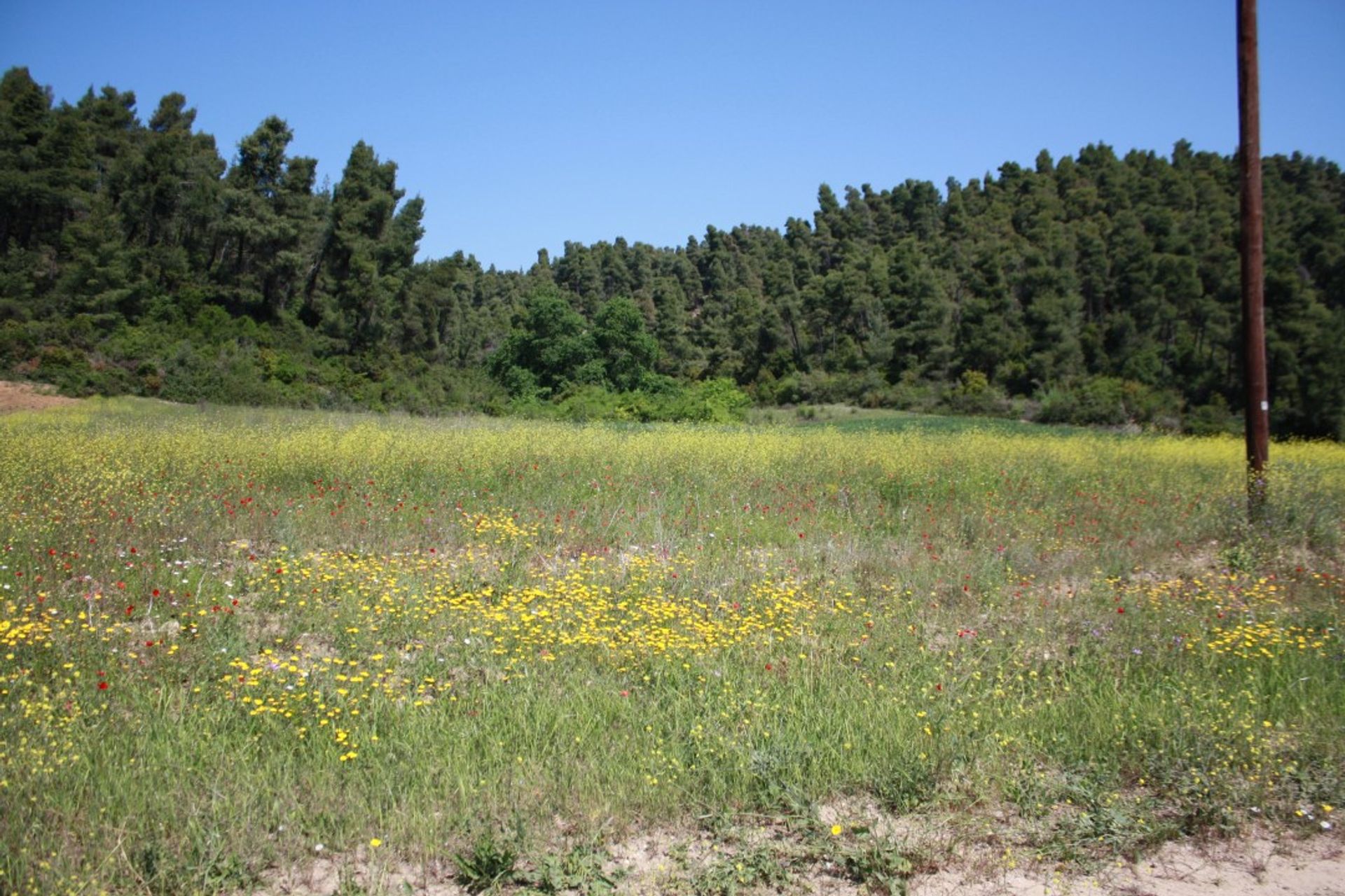 Tierra en Kassandreia, Kentriki Macedonia 10804431