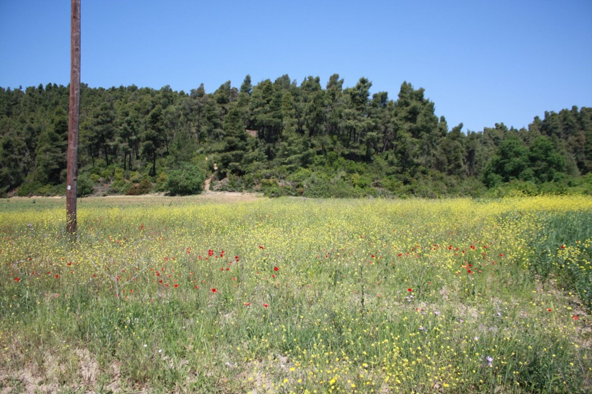 Tierra en Kassandreia, Kentriki Macedonia 10804431