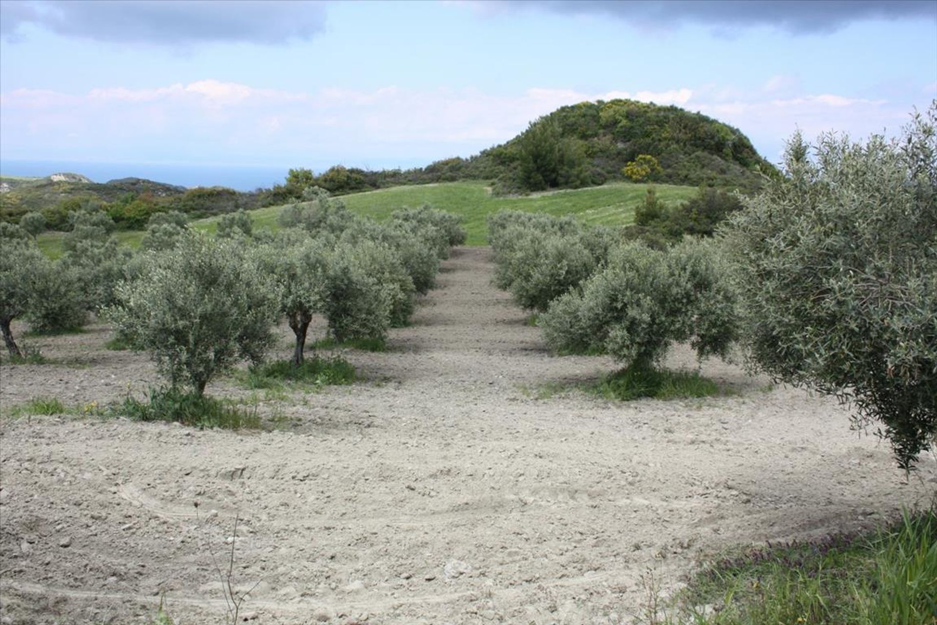 Tanah dalam Kassandreia, Kentriki Makedonia 10804480