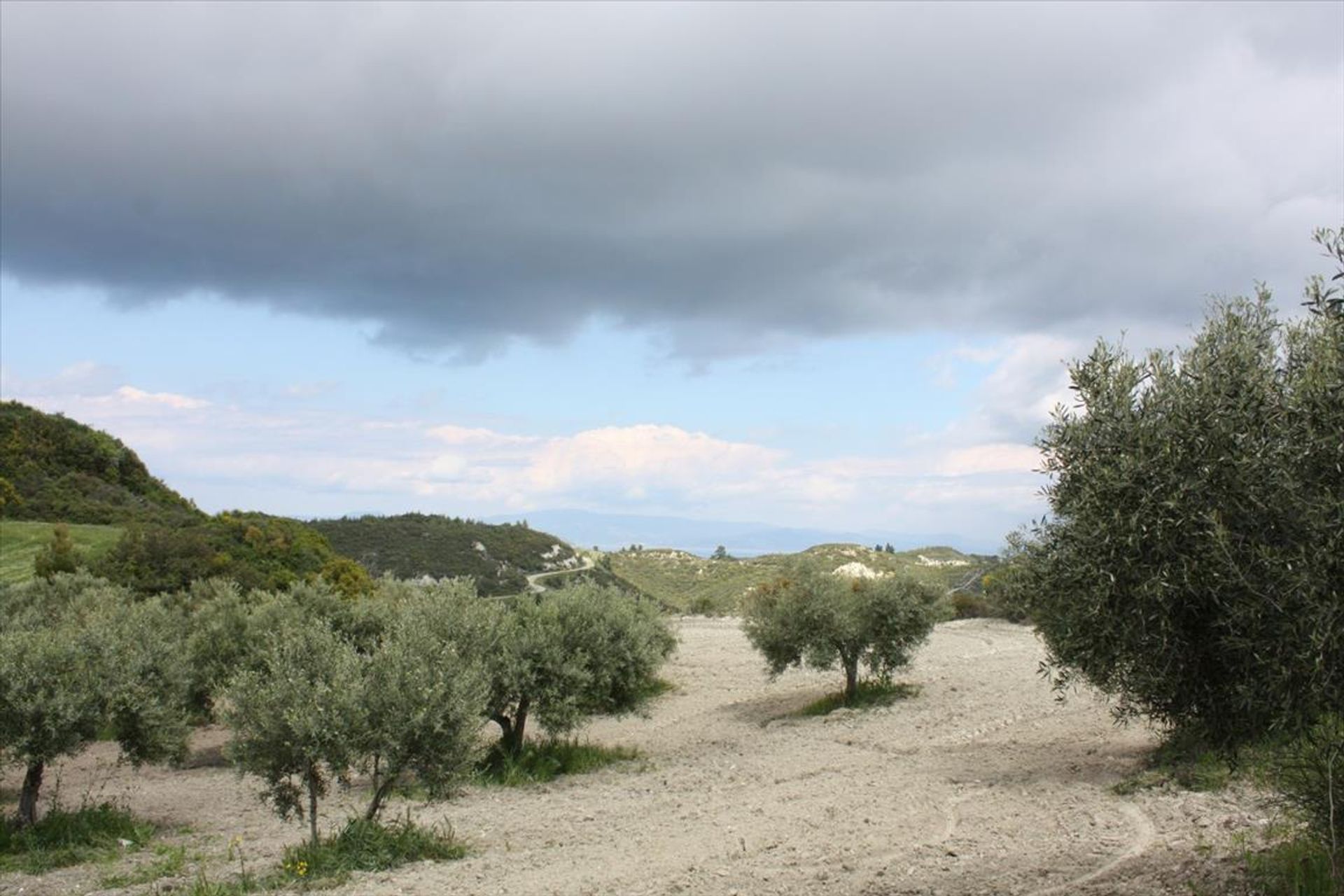 Terre dans Kassandréia, Kentriki Macédoine 10804480