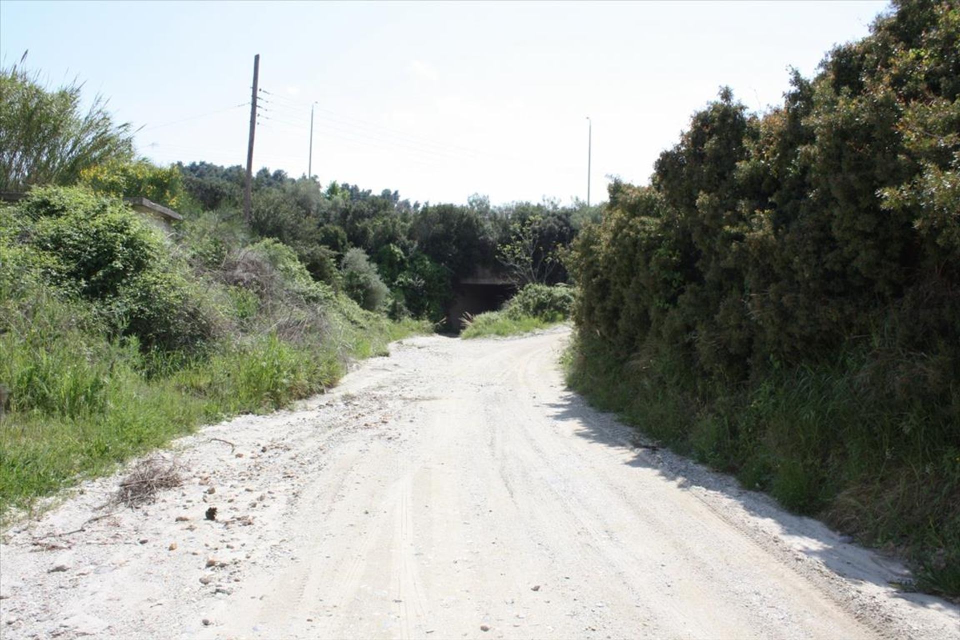 Terre dans Kassandréia, Kentriki Macédoine 10804489