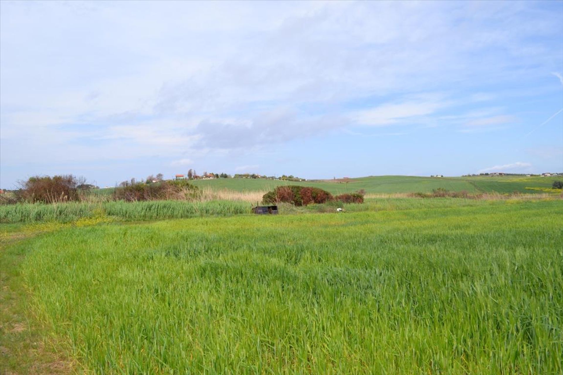 Terra no Nea Poteidaia, Kentriki Makedonia 10804499