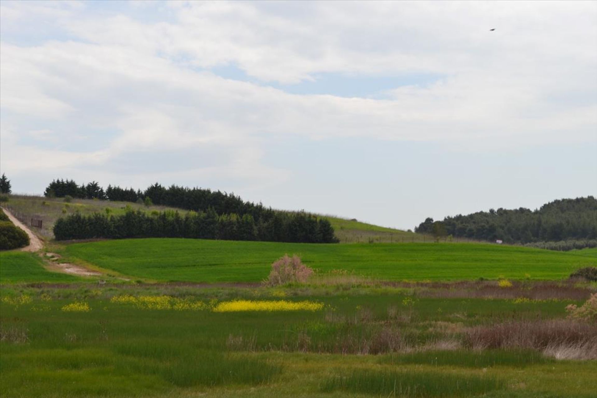 Tanah di Nea Poteidaia, Kentriki Makedonia 10804499