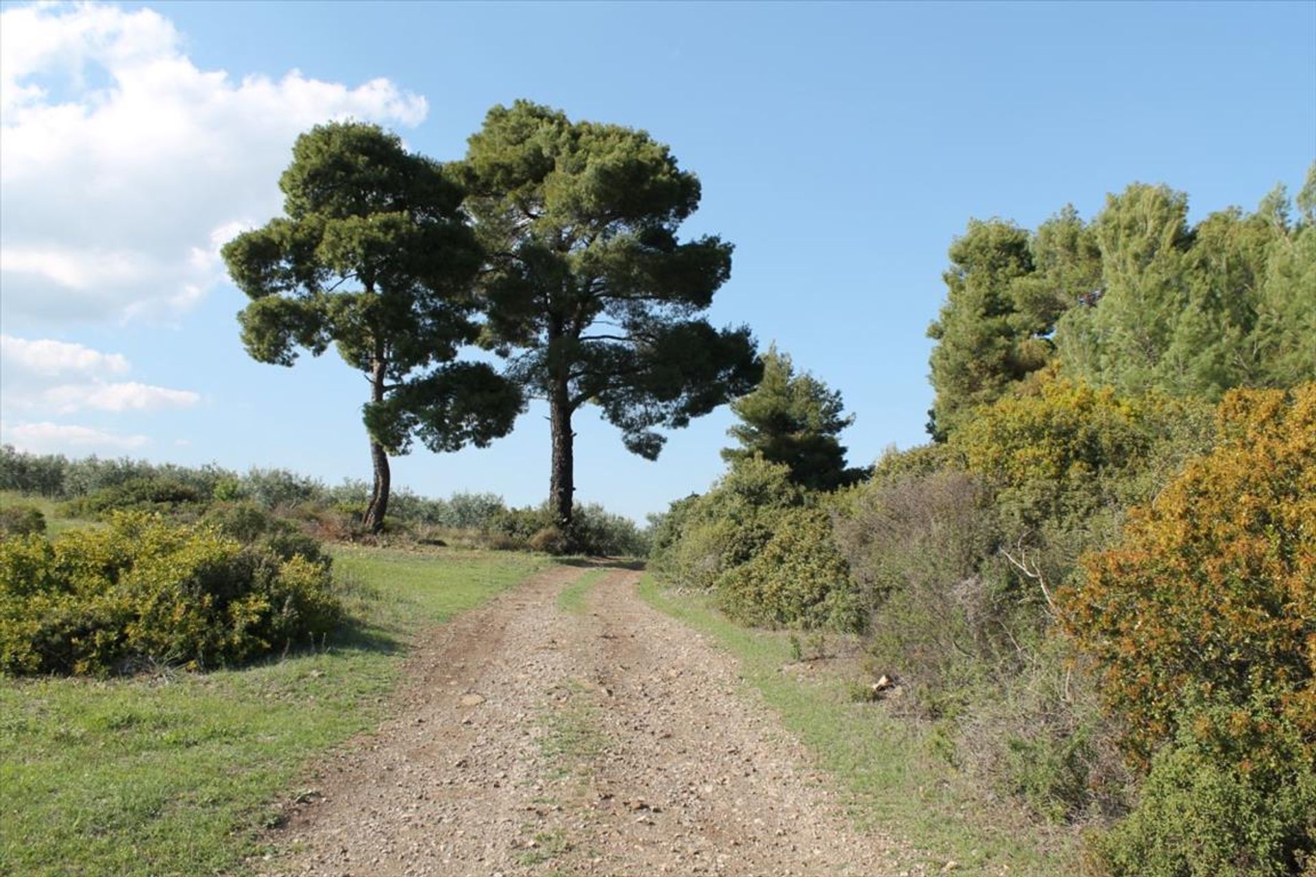 Terre dans Métamorphoses, Kentriki Macédoine 10804541