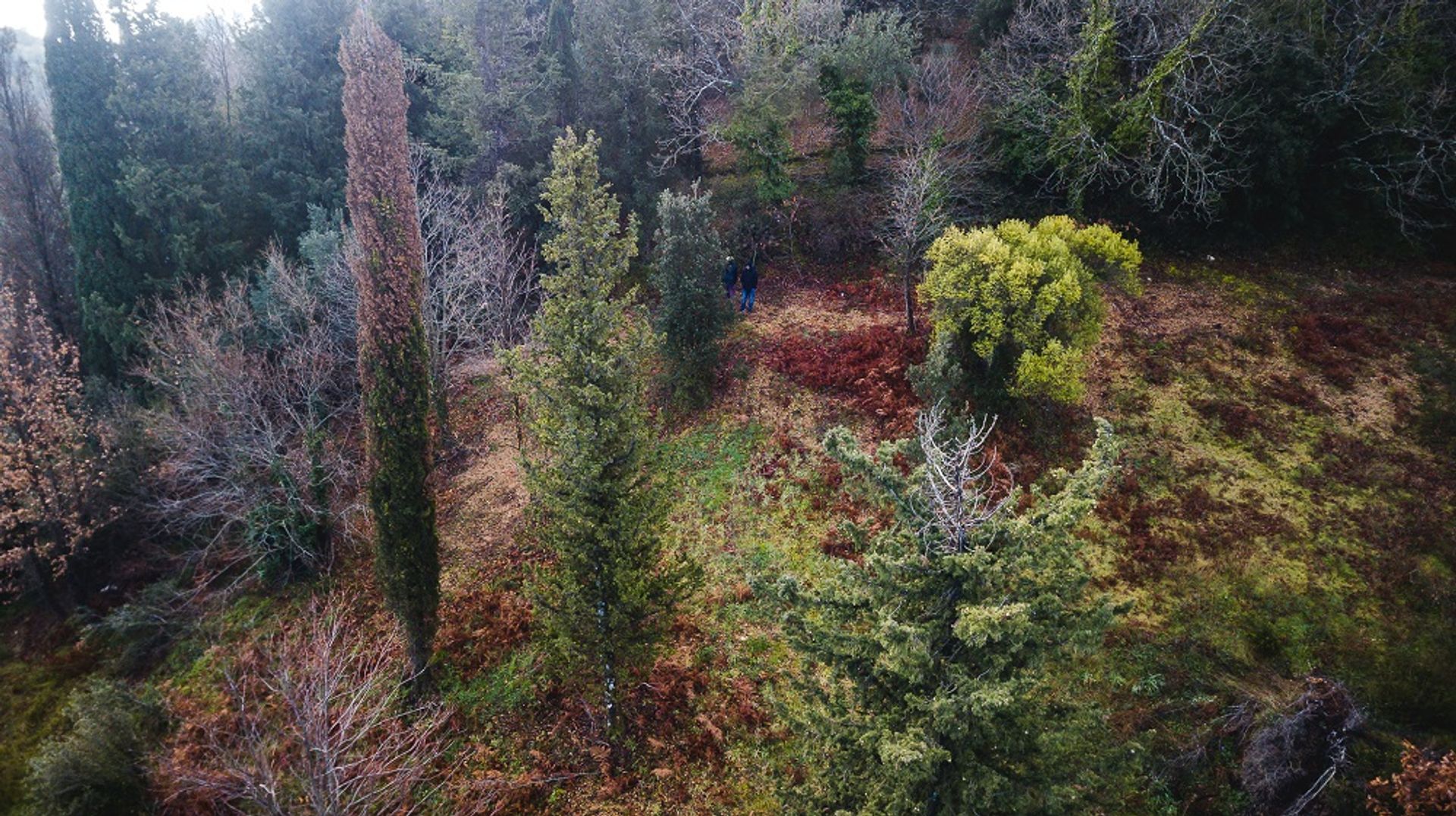 Land i Agios Markos, Ionia Nisia 10804571