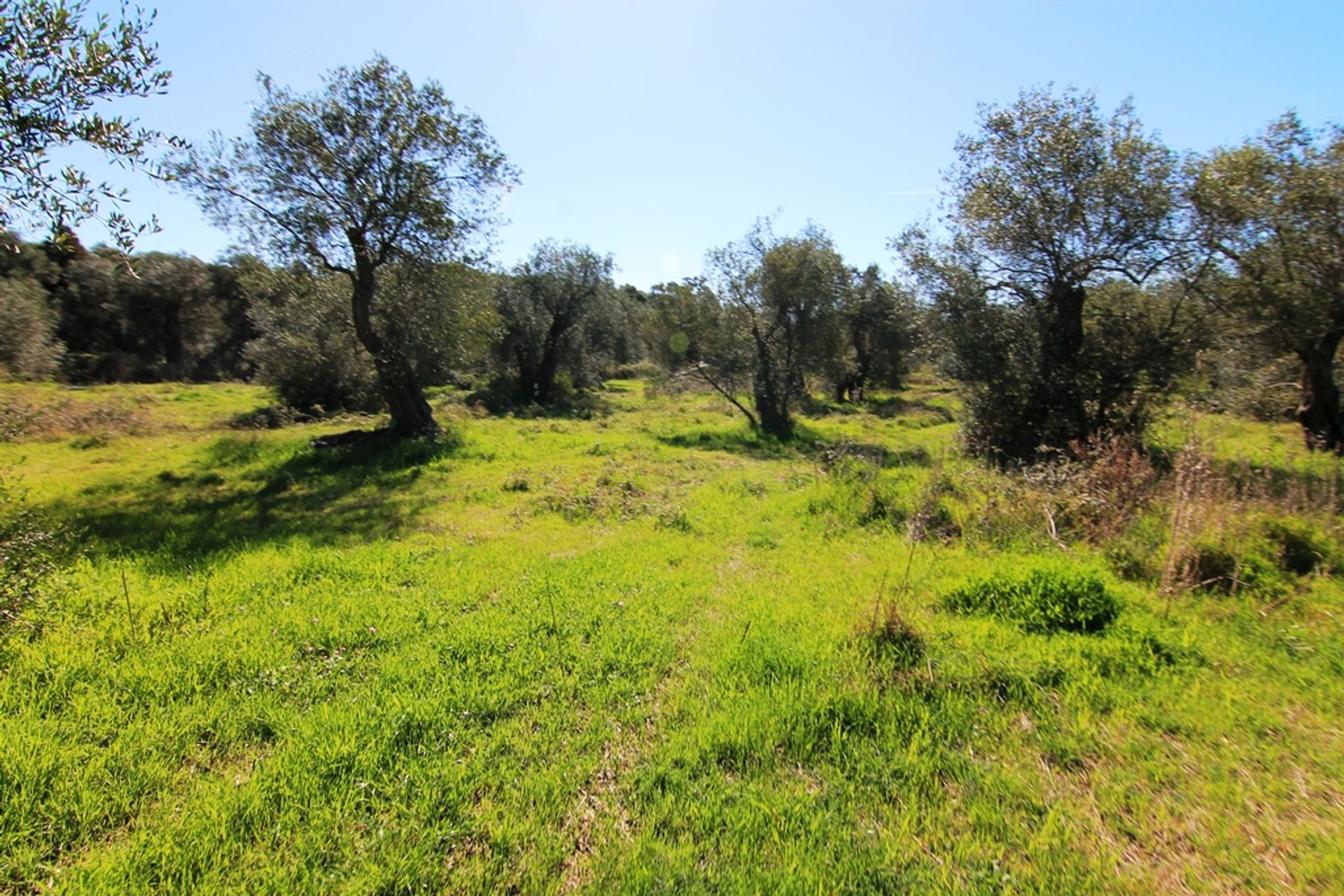 Land in Argyrades, Ionia Nisia 10804652