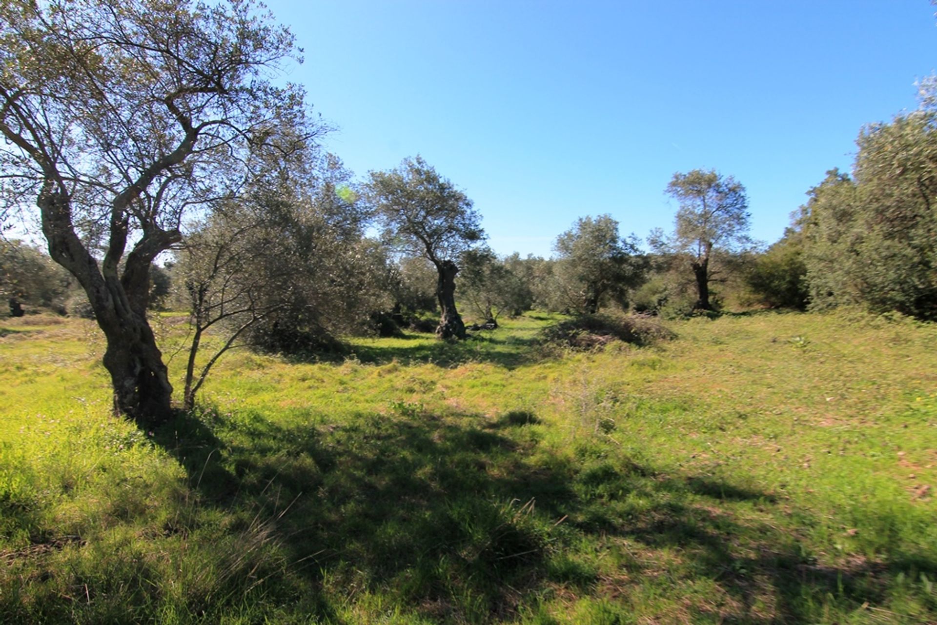 Land in Argyrades, Ionia Nisia 10804652