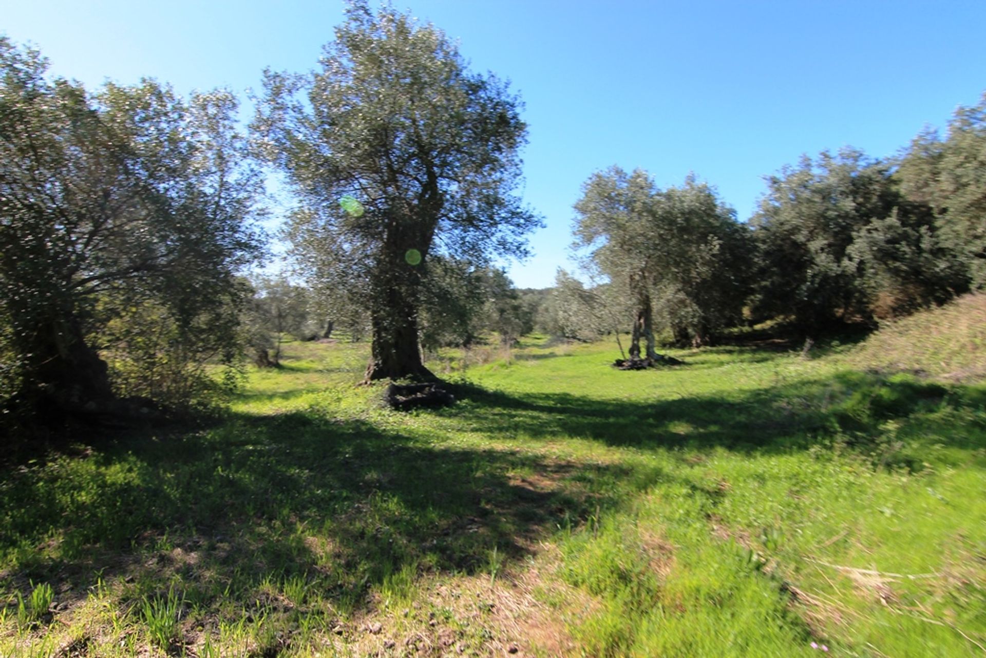 Land in Argyrades, Ionia Nisia 10804652