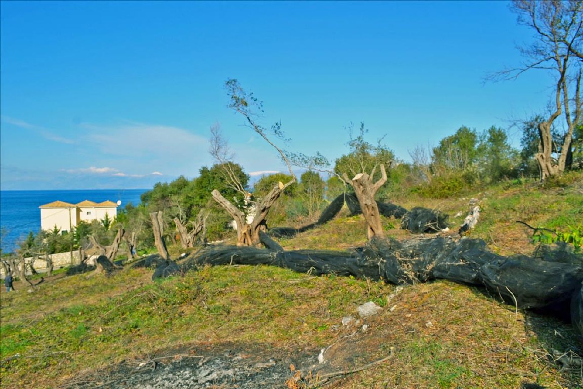 土地 在 Kassiopi, Ionia Nisia 10804843