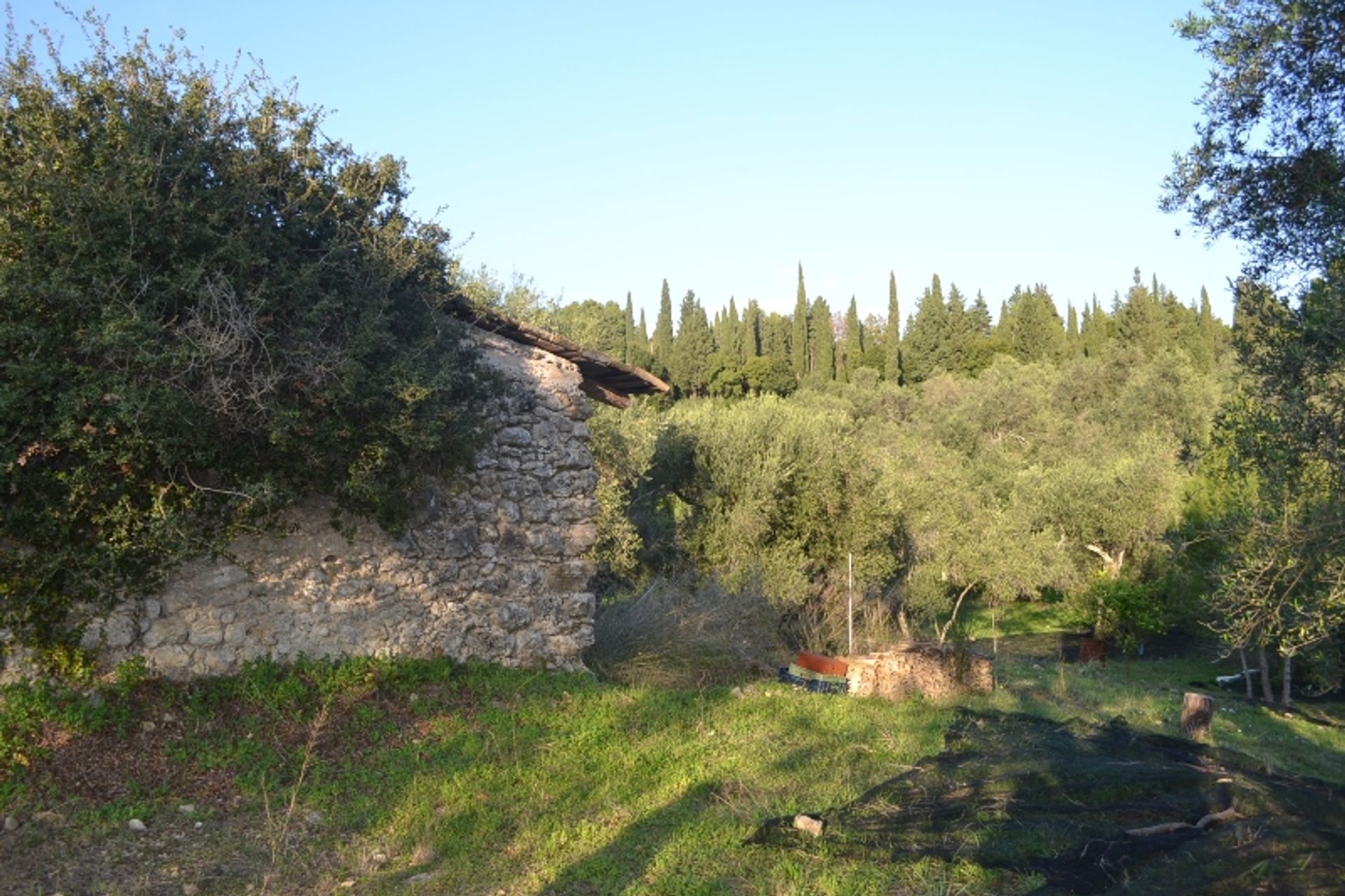 Tierra en Gazatika, Ionia Nisia 10805181