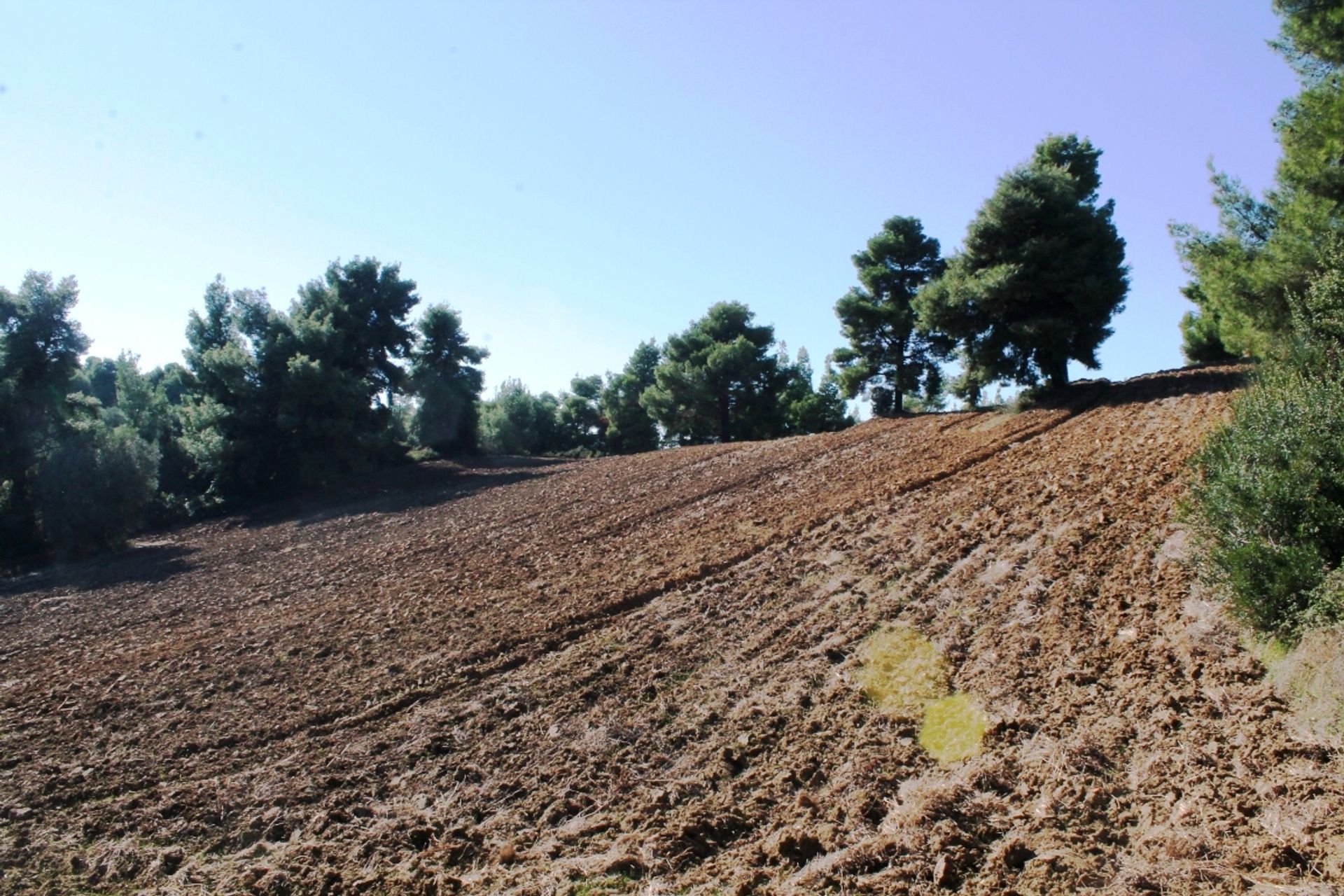 Terra no Cassandreia, Kentriki Makedonia 10805225