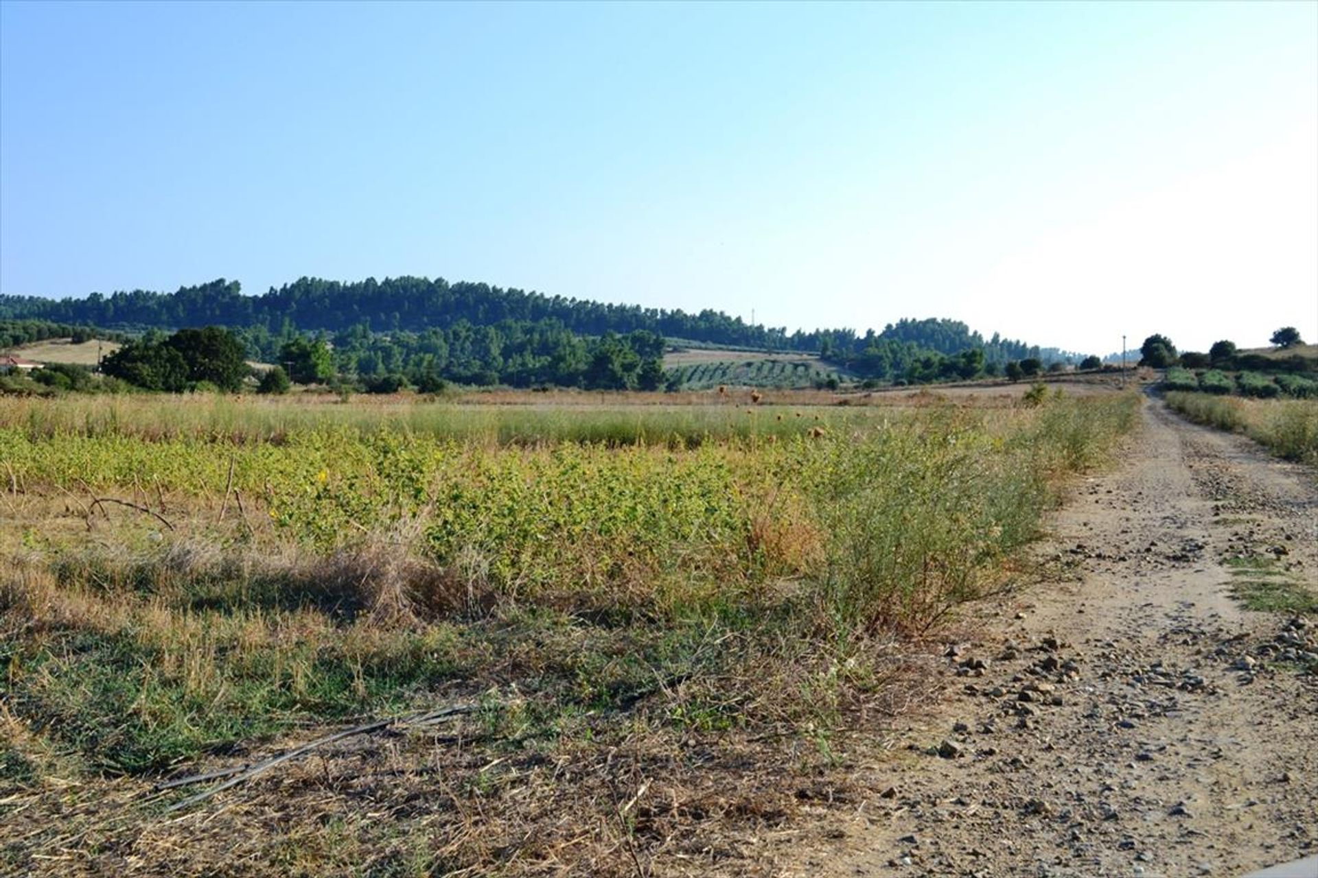 Terre dans Kassandréia, Kentriki Macédoine 10805447