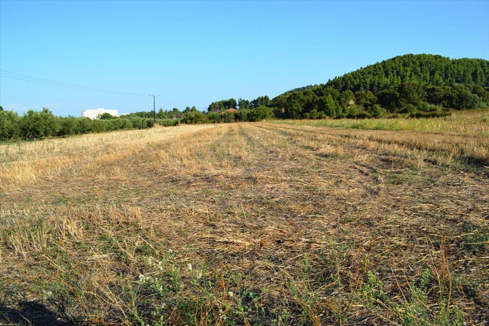 Terre dans Kassandréia, Kentriki Macédoine 10805447