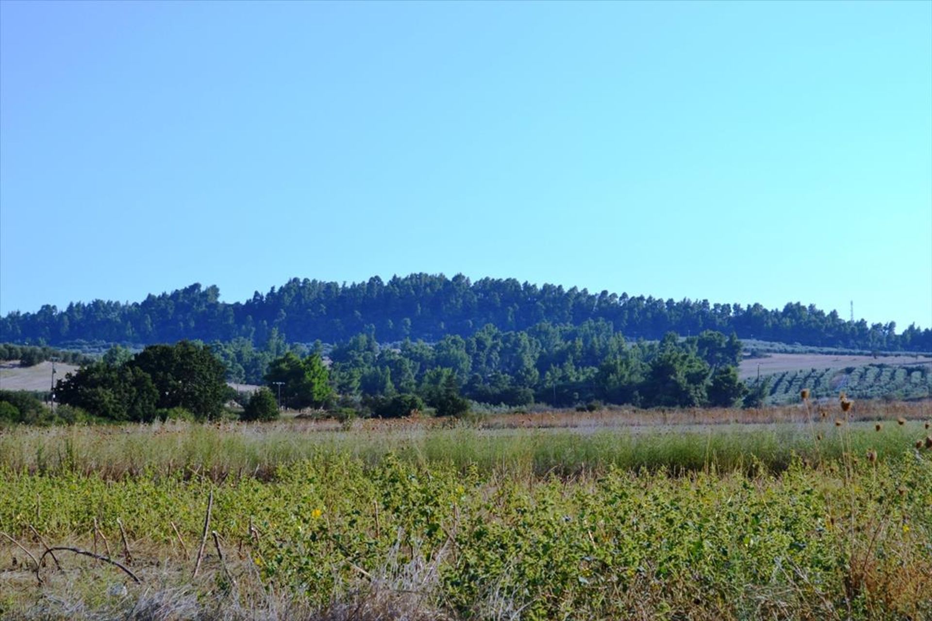 Tierra en Kassandreia, Kentriki Macedonia 10805447