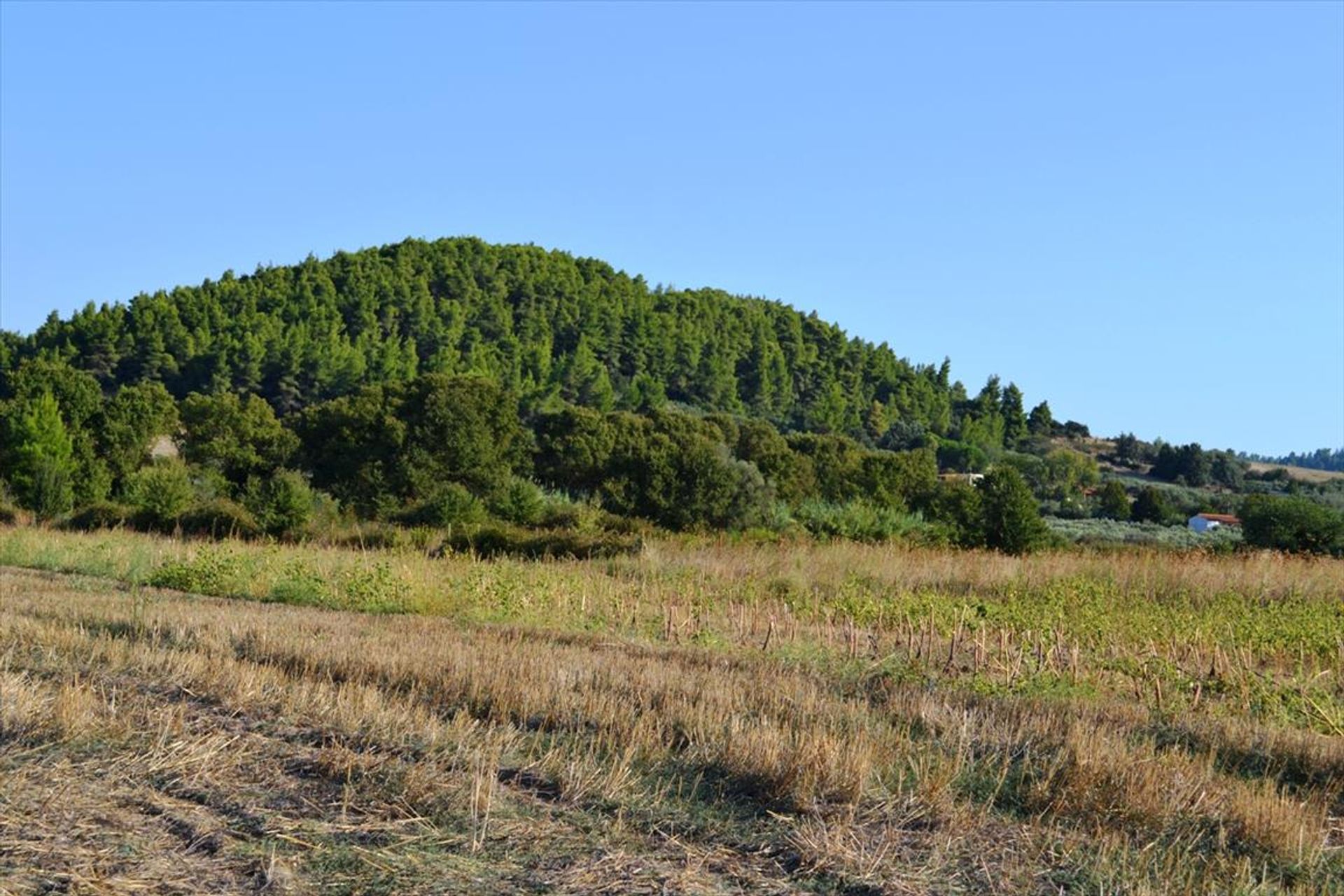 Terre dans Kassandréia, Kentriki Macédoine 10805447