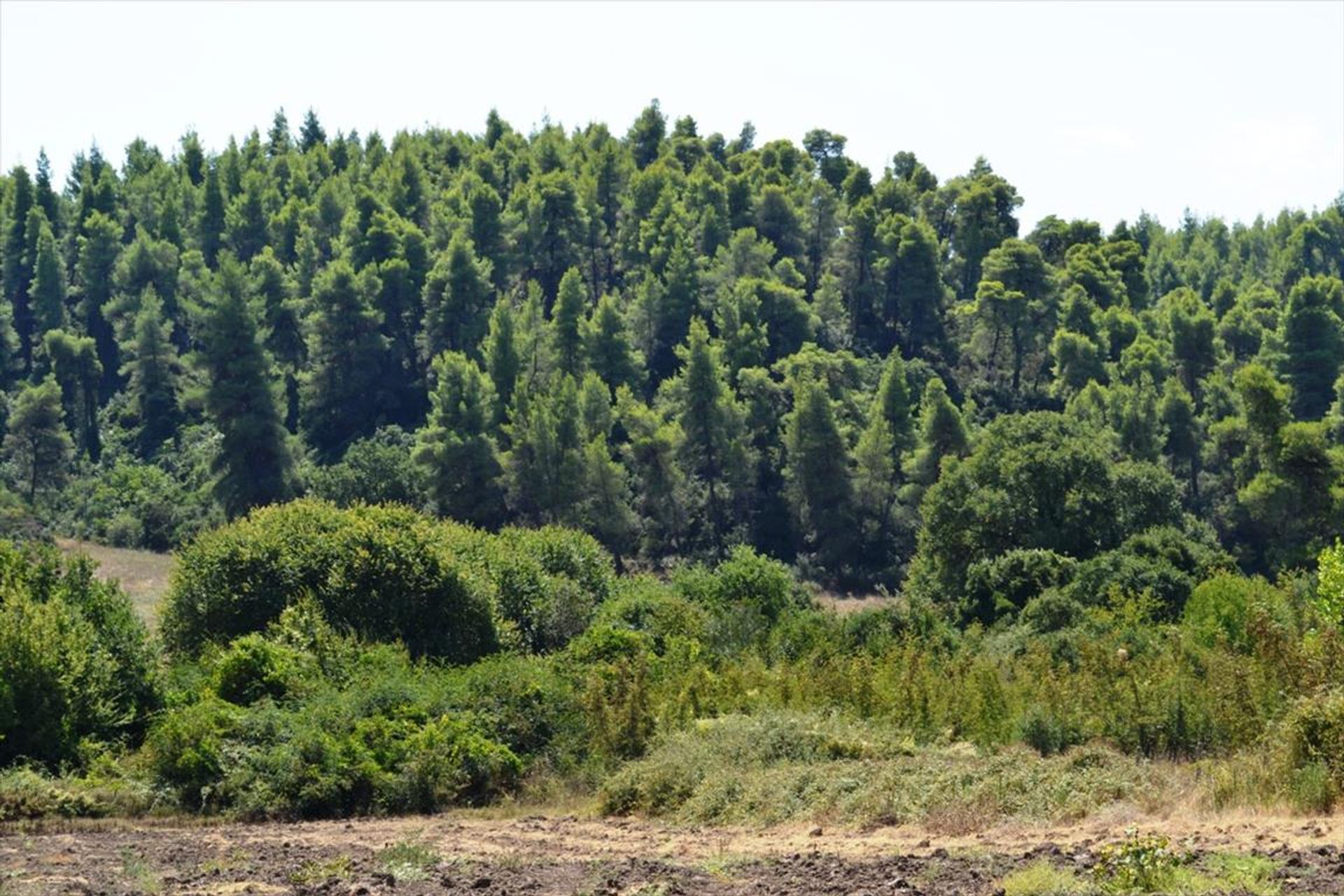 Tanah dalam Kassandreia, Kentriki Makedonia 10805519