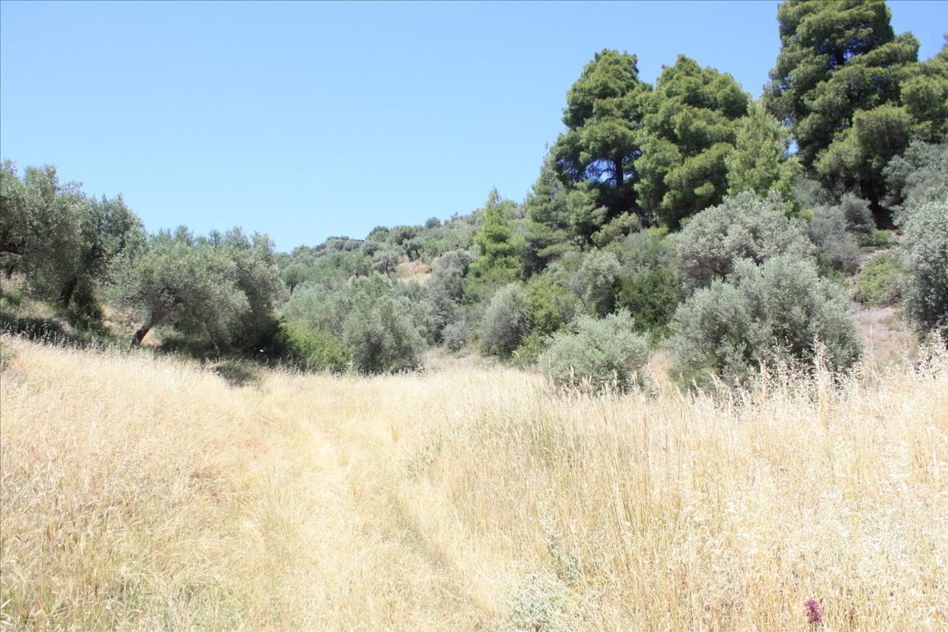 ארץ ב ניאוס מרמראס, קנטריקי מקדוניה 10805637