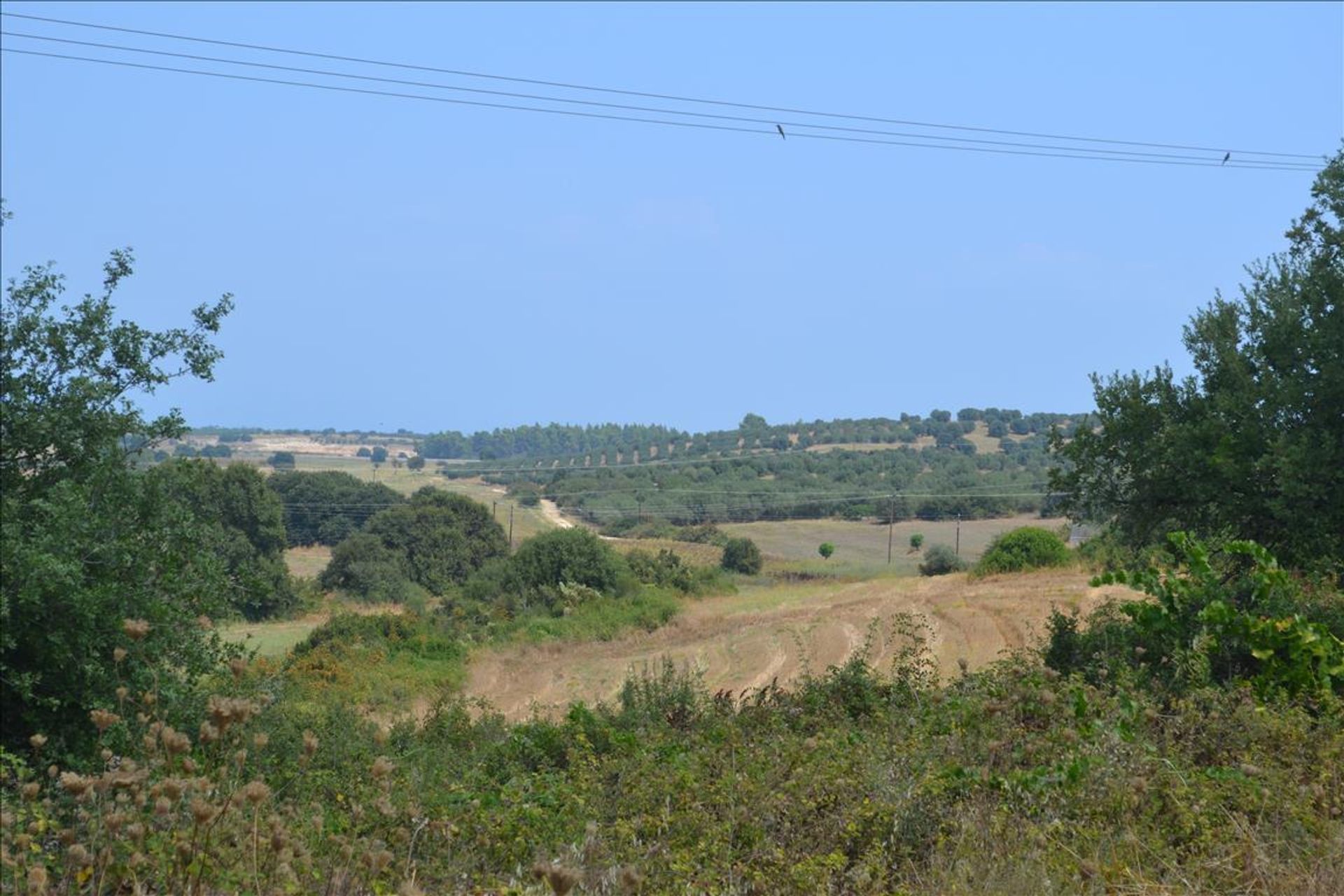 Wylądować w Kasandreja, Kentriki Makedonia 10805666