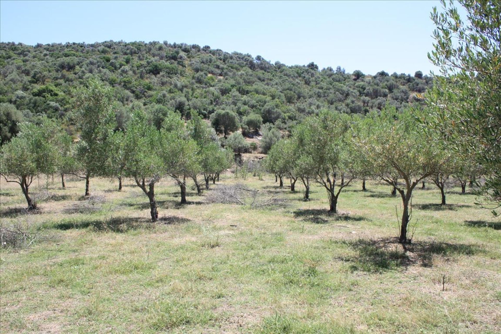 ארץ ב ניאוס מרמראס, קנטריקי מקדוניה 10805710