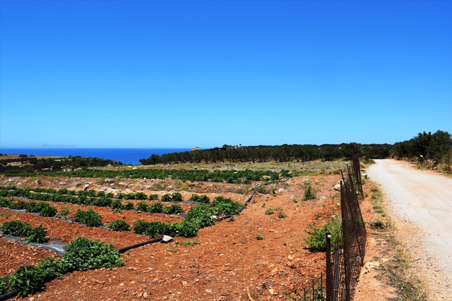 Γη σε Χαμαλεύρι, Κρήτης 10806150