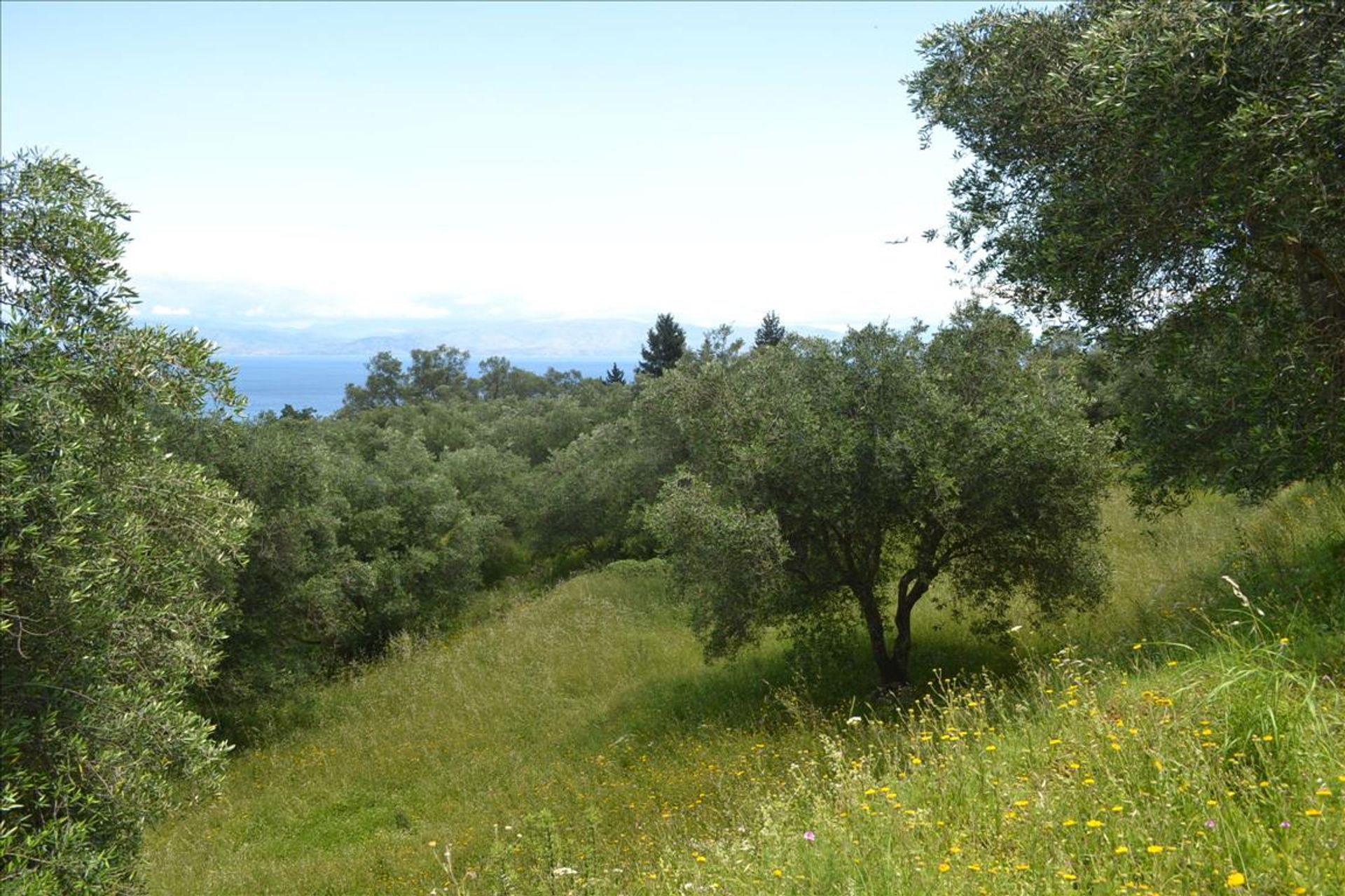 Land in Stavros, Ionië Nisia 10806236