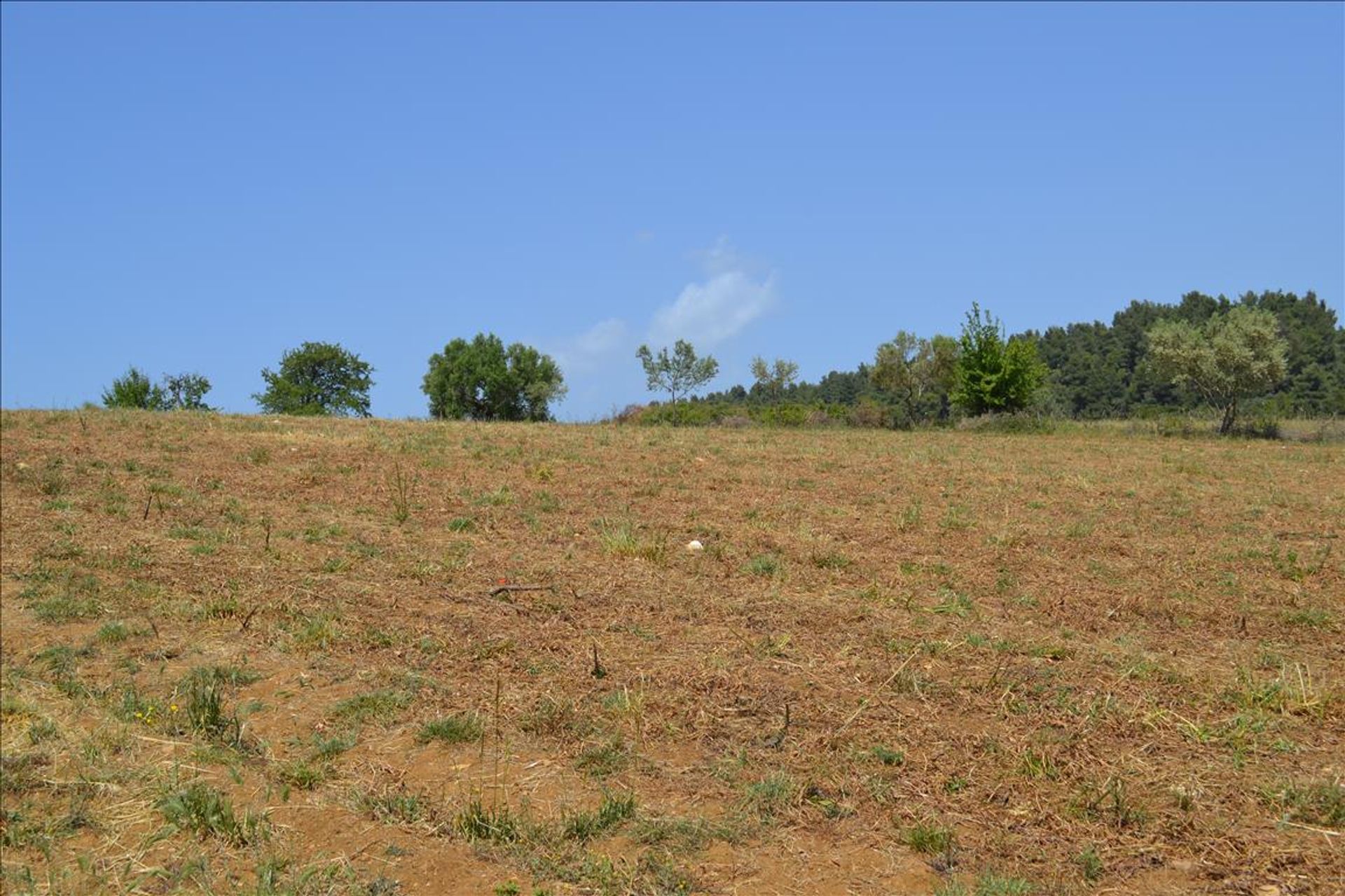 Tanah dalam Neos Marmaras, Kentriki Makedonia 10806281