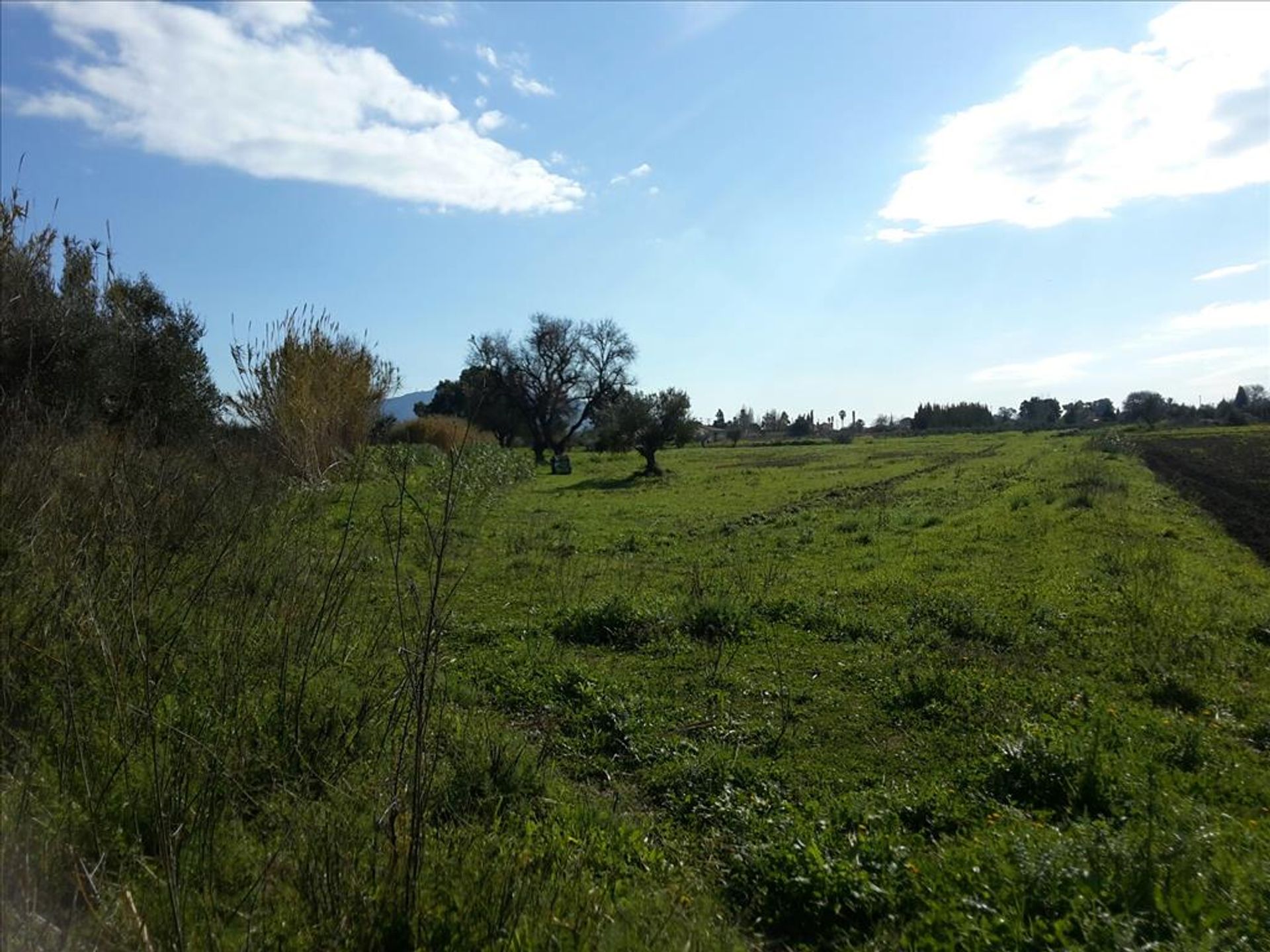 Tierra en Bochali, Ionia Nisia 10806875