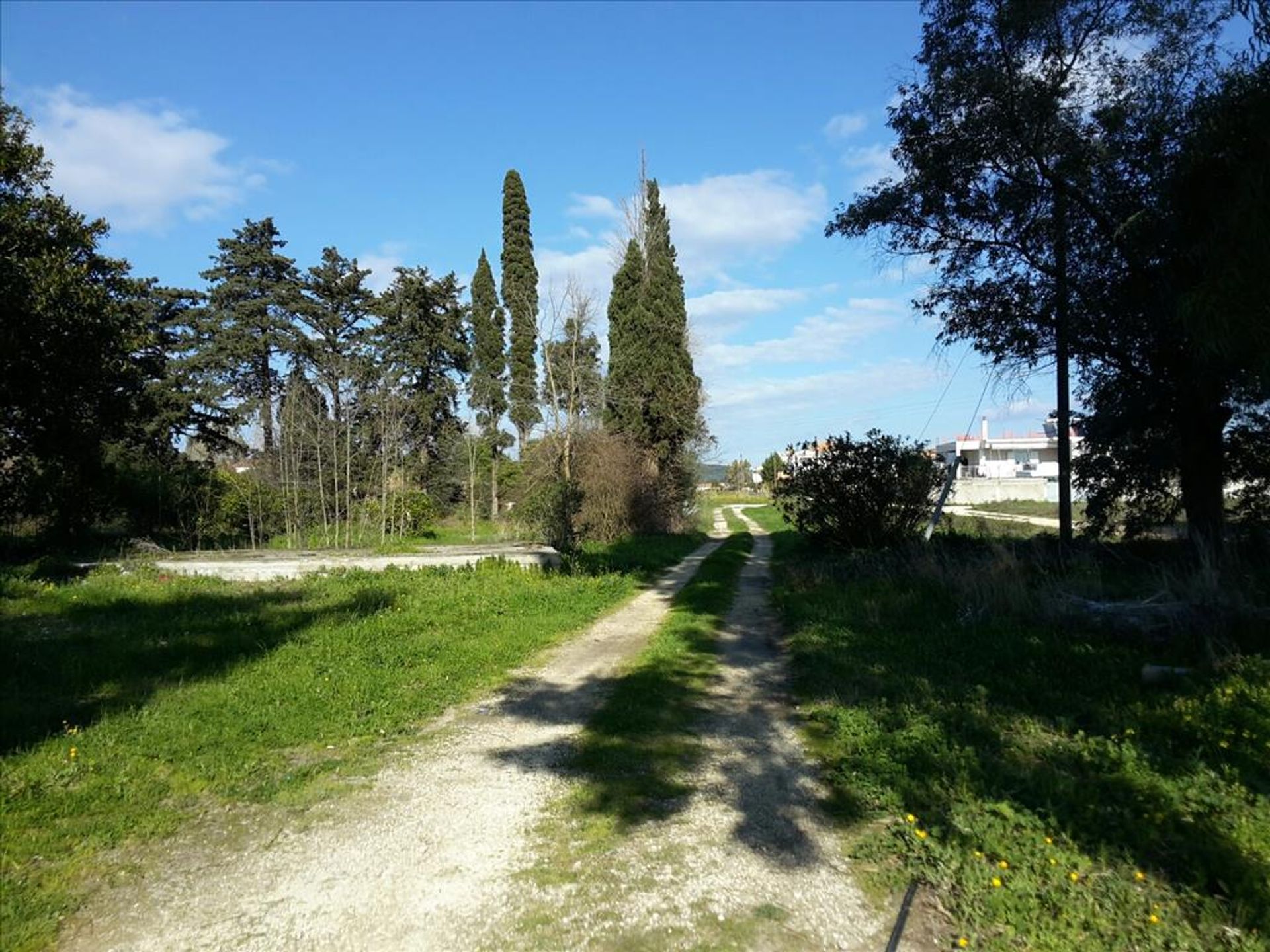 Land in Bochali, Ionia Nisia 10806875