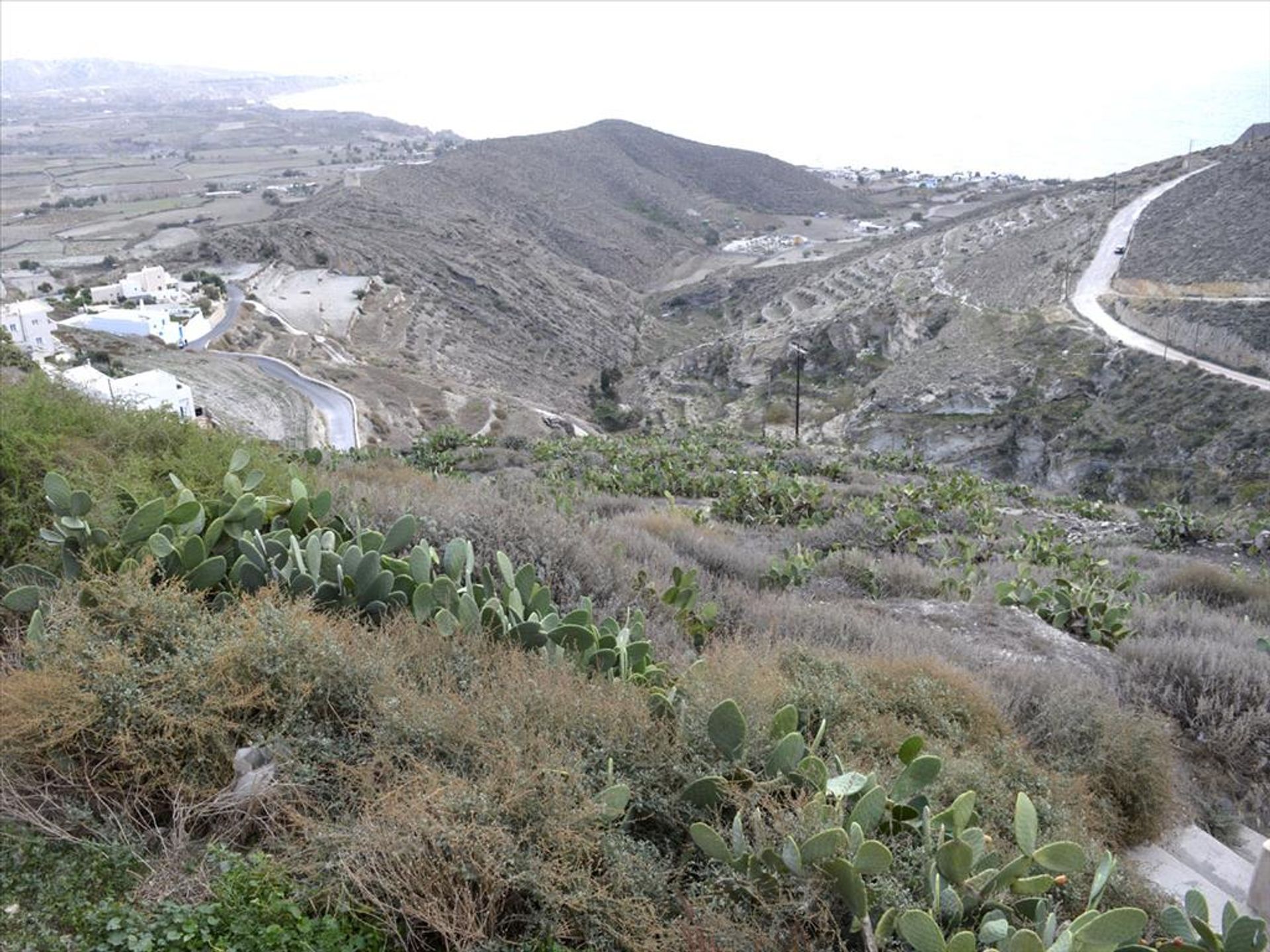 Terra no Empório, Notio Aigaio 10806959