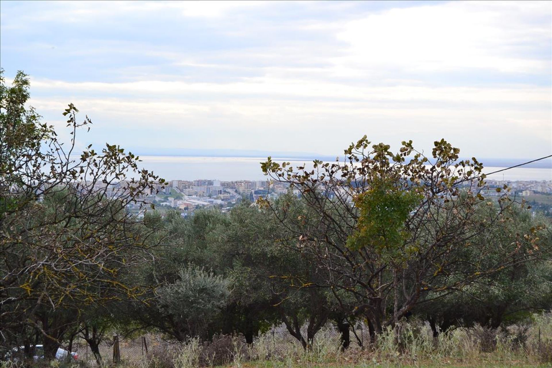 土地 在 Panorama, Kentriki Makedonia 10807023