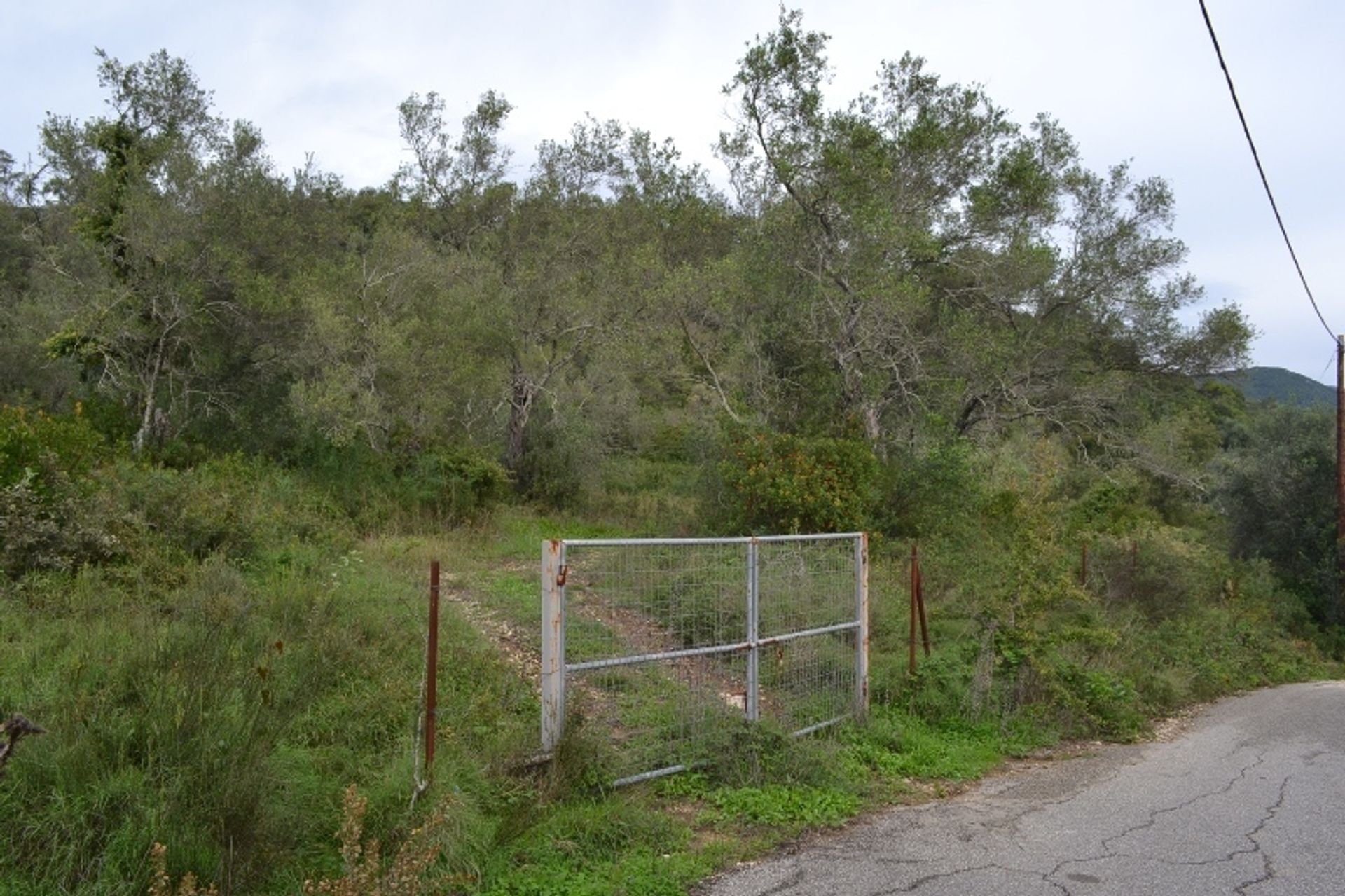 Land in Agios Markos, Ionië Nisia 10807056