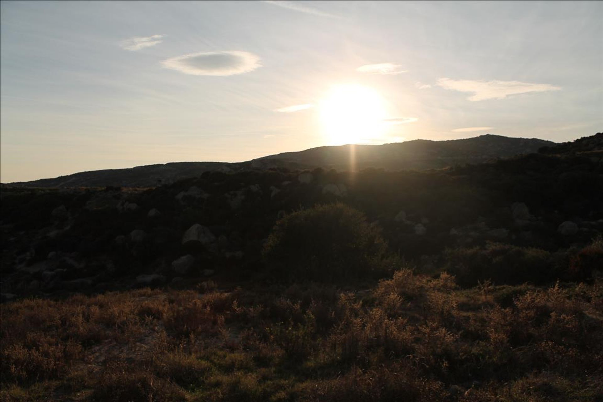 Γη σε Πιτσιώτα, Στερεά Ελλάδα 10807119