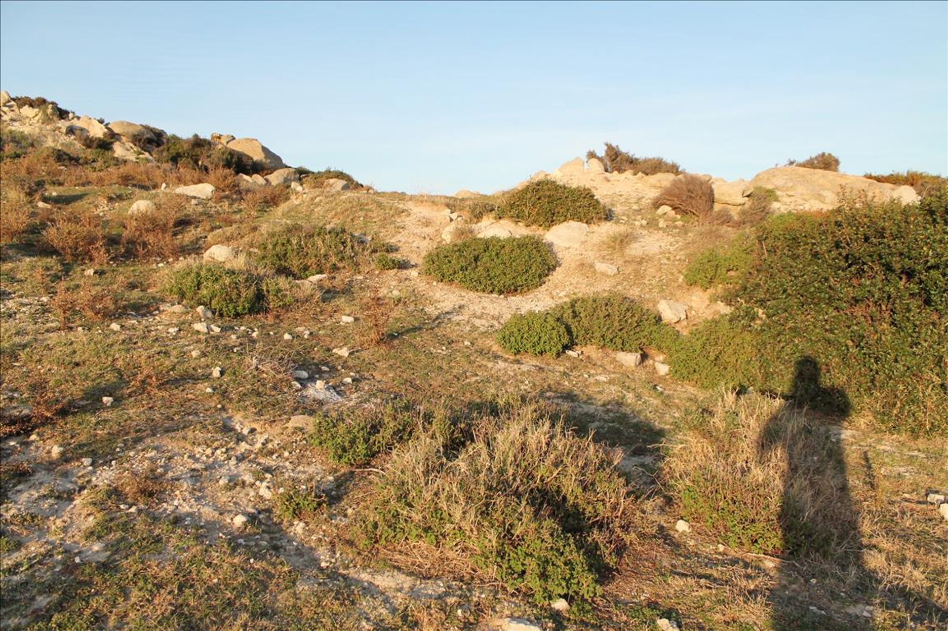 Terre dans Pitsiota, Stéréa Ellada 10807119