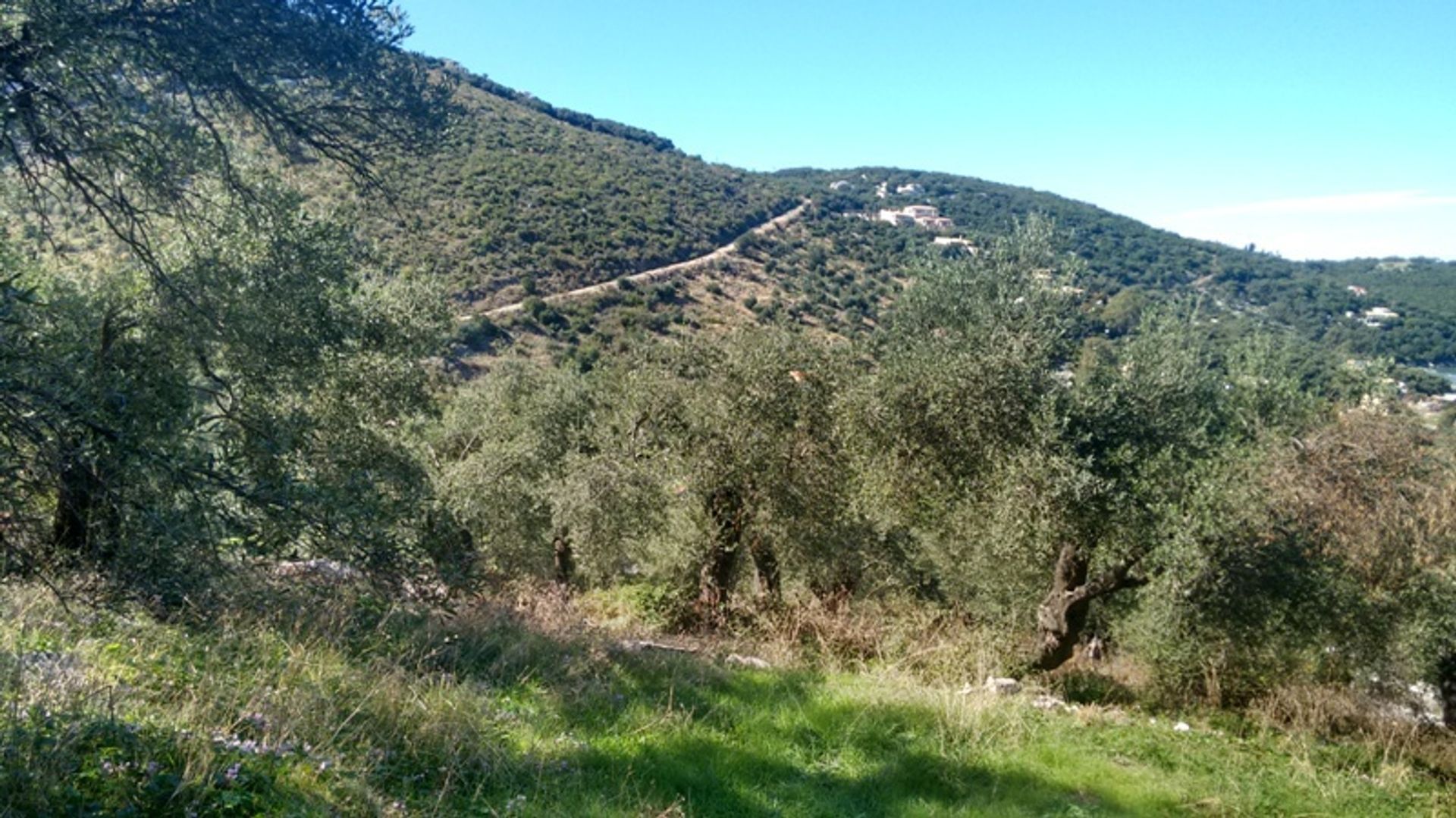 Γη σε Πιτσιώτα, Στερεά Ελλάδα 10807128