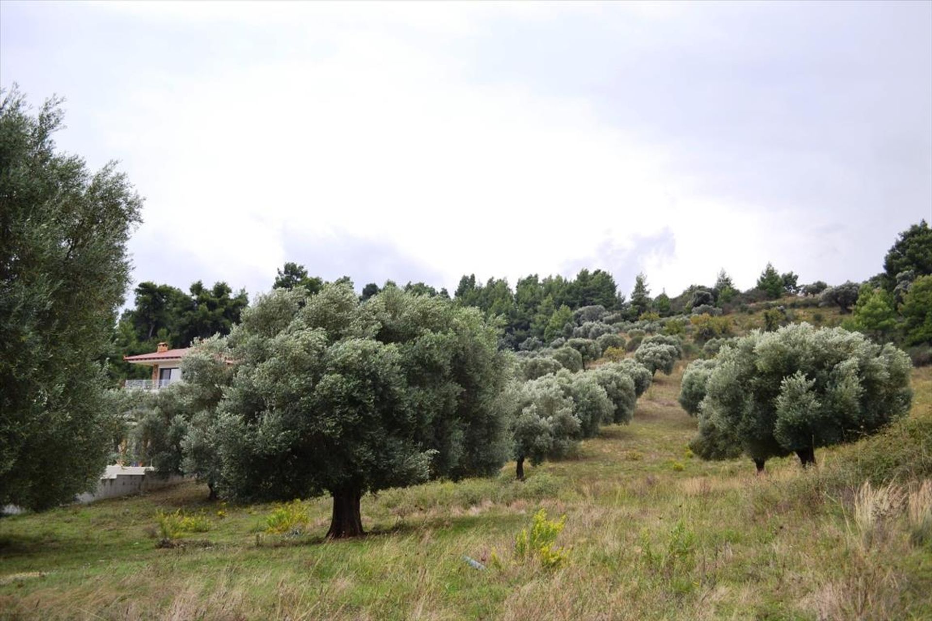 Tierra en Neos Marmaras, Kentriki Macedonia 10807178