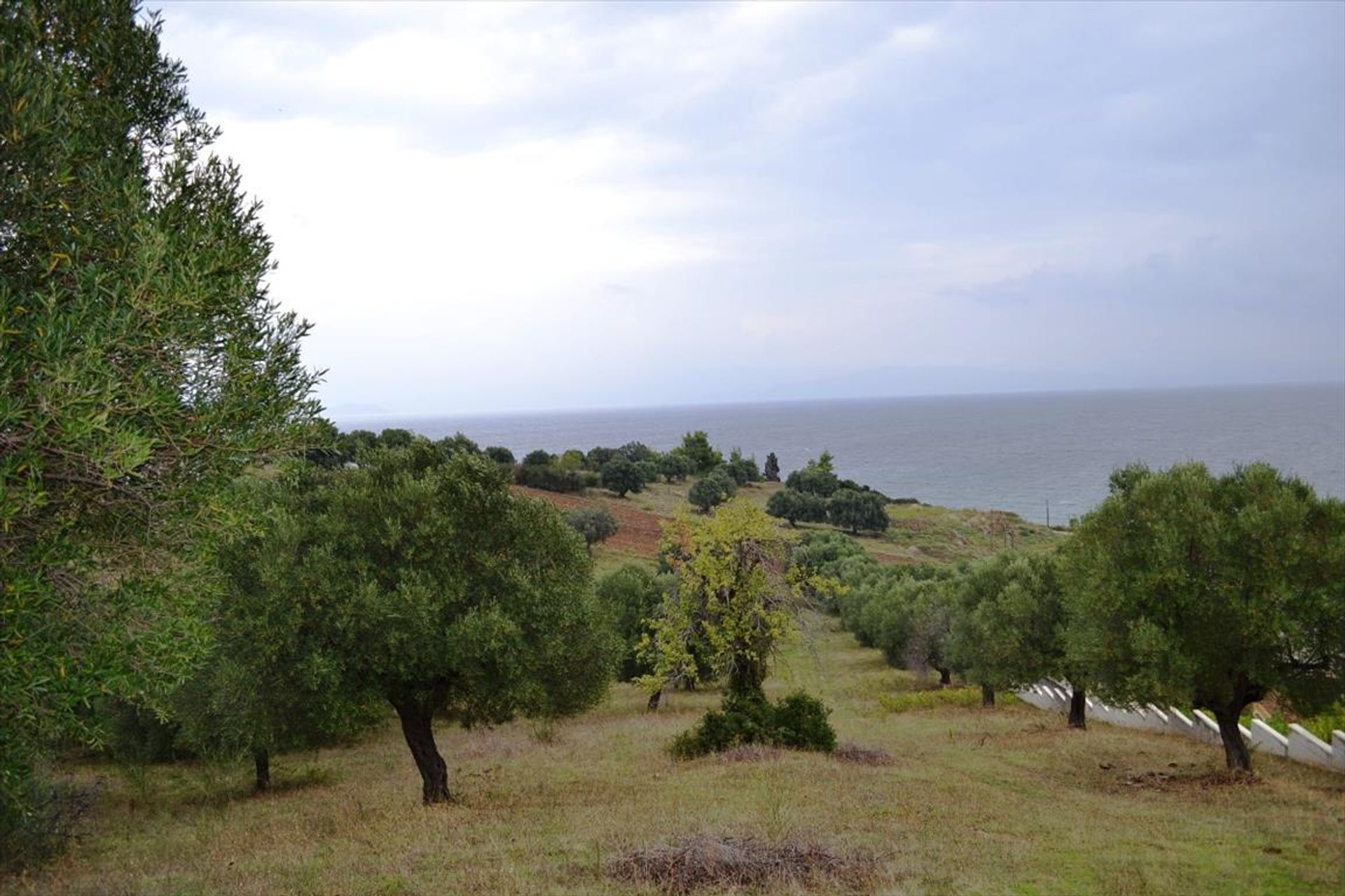 Tierra en Neos Marmaras, Kentriki Macedonia 10807178