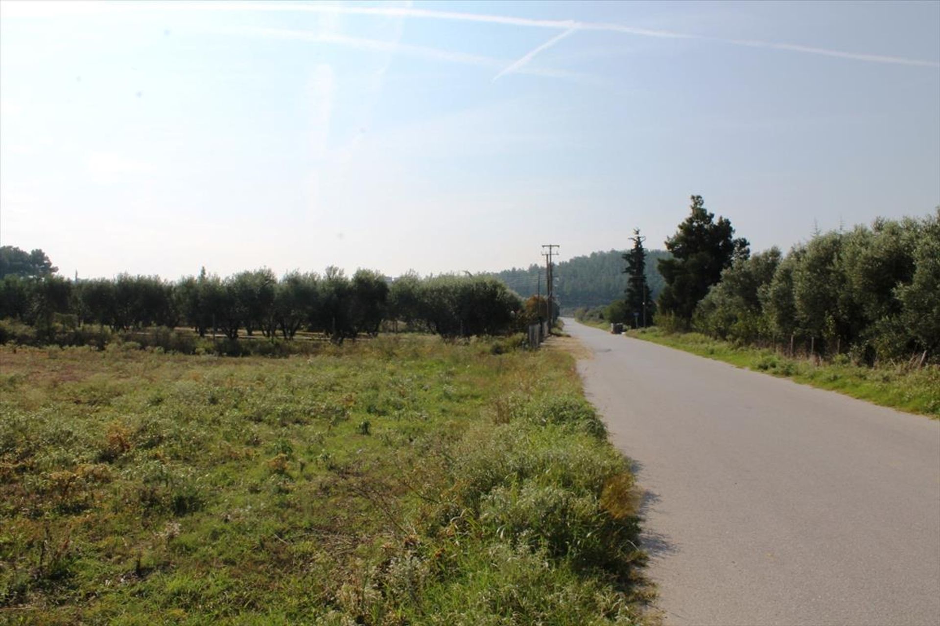 Land in Nea Raidestos, Kentriki Makedonia 10807201